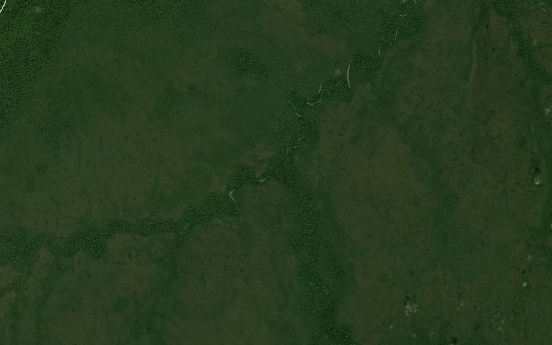 Satellite map of the Rio Azul