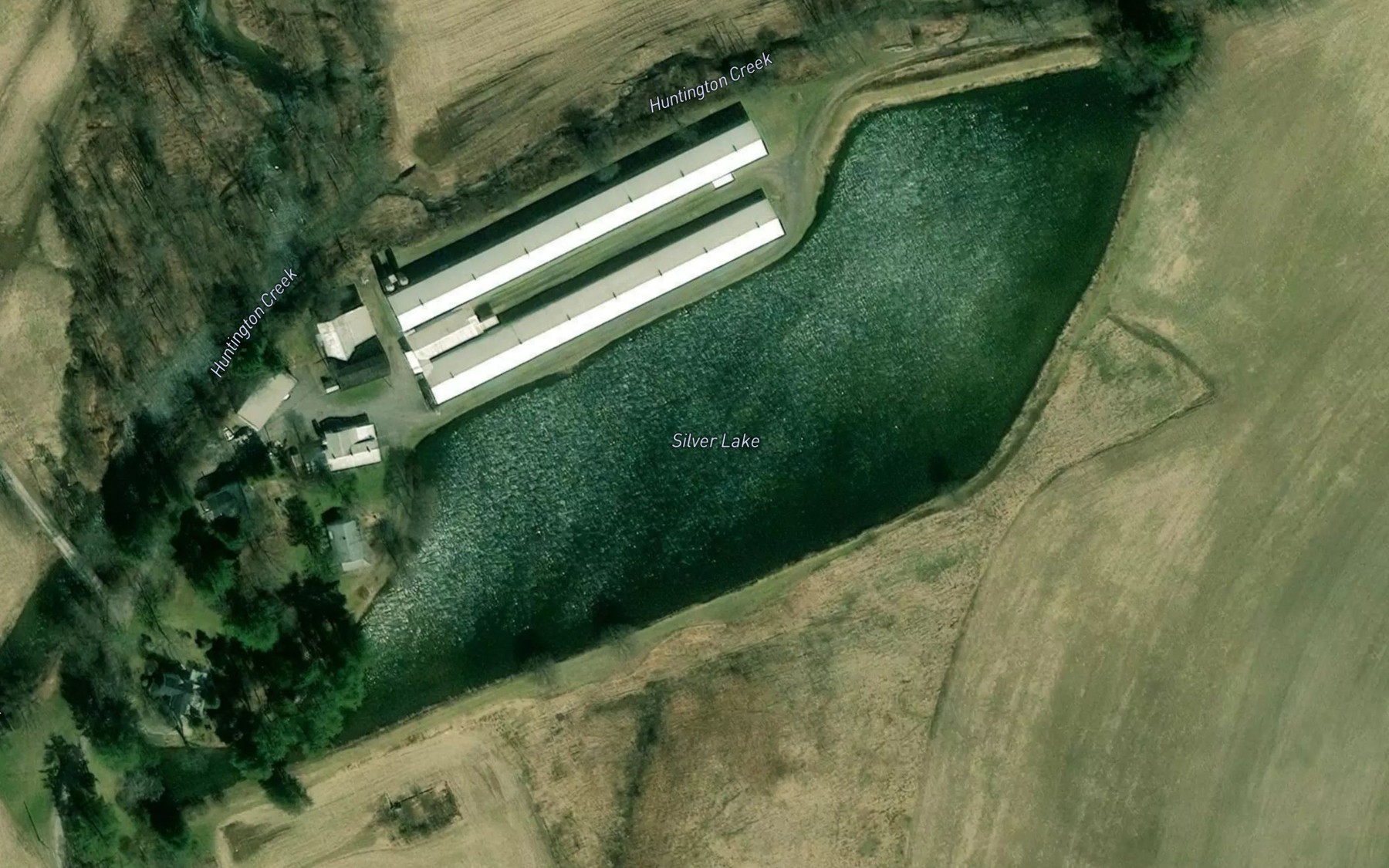 Satellite map of the Silver Lake