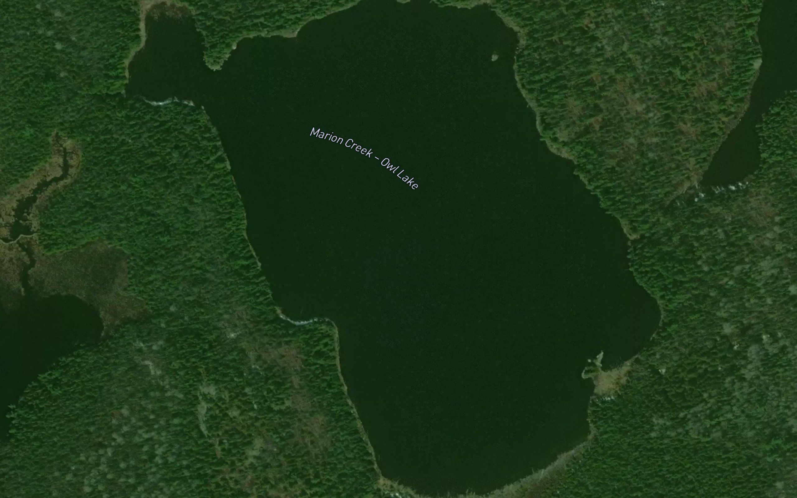 Owl Lake