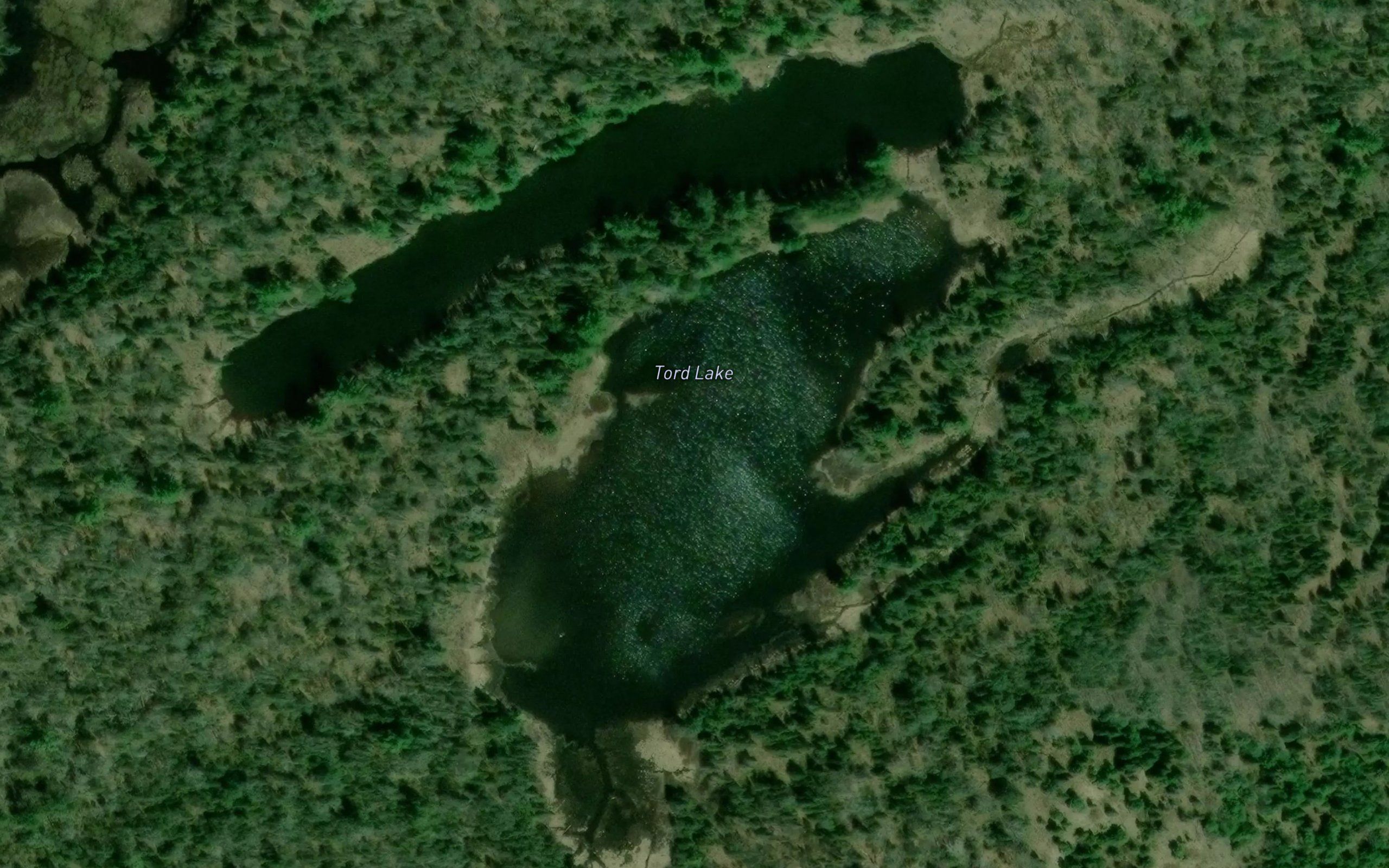 Tord Lake