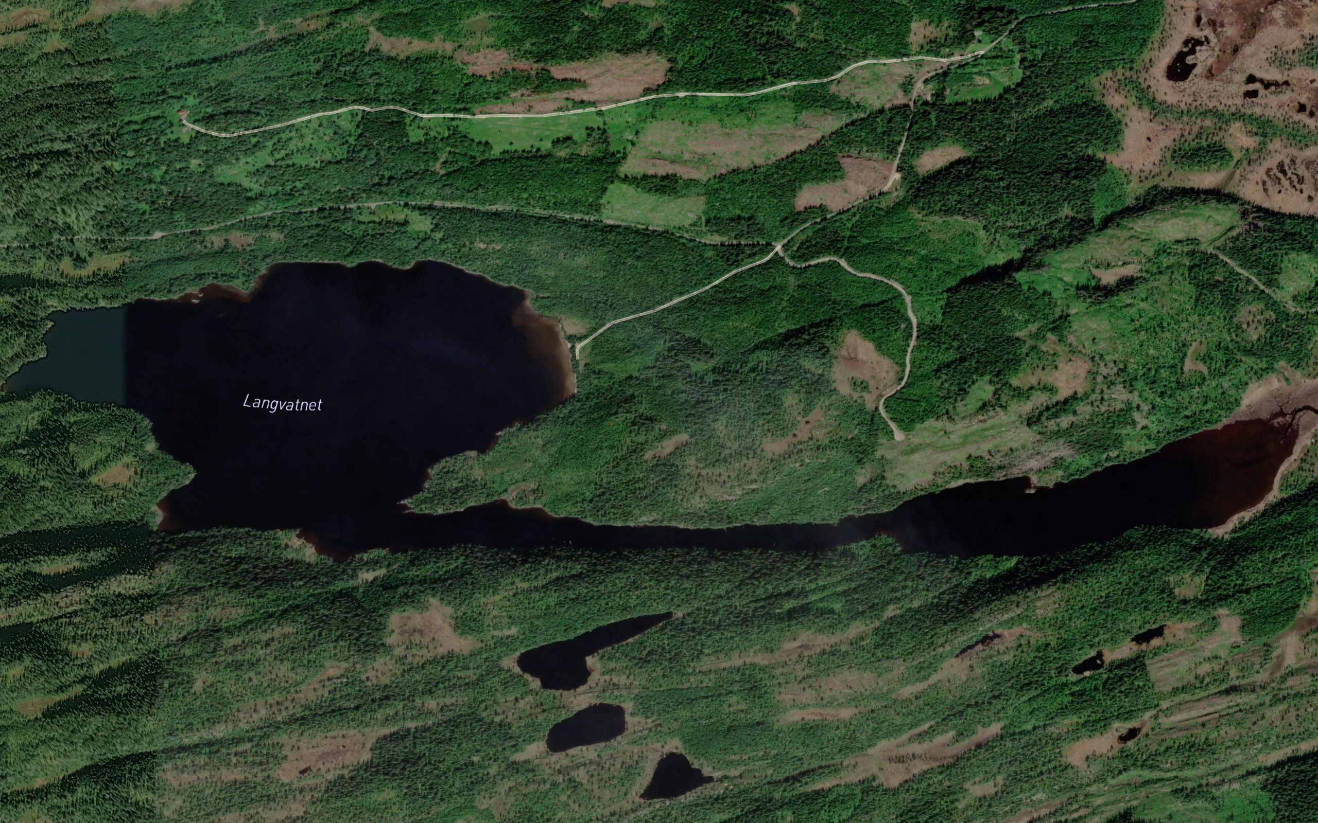Langvatnet
