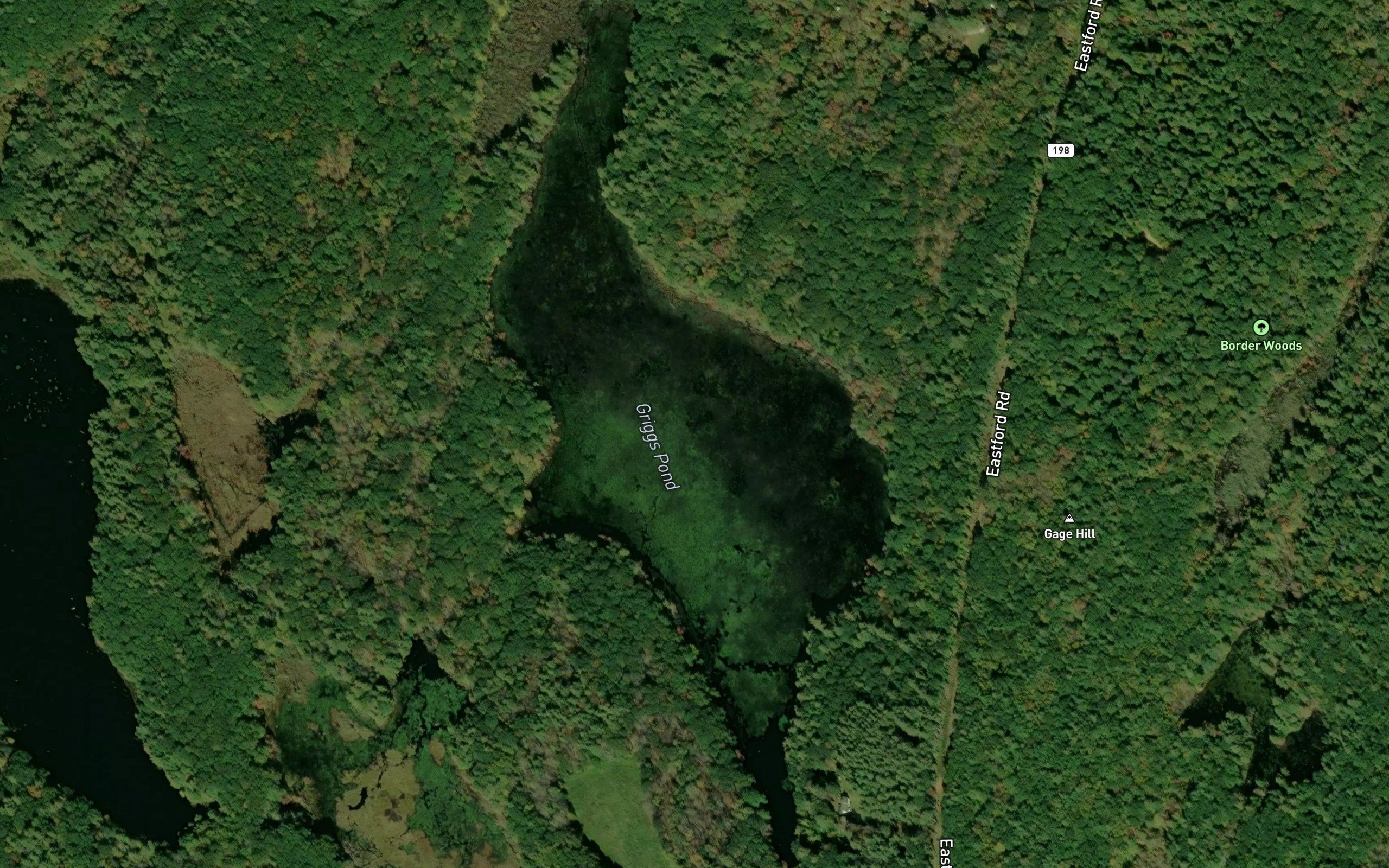 Griggs Pond