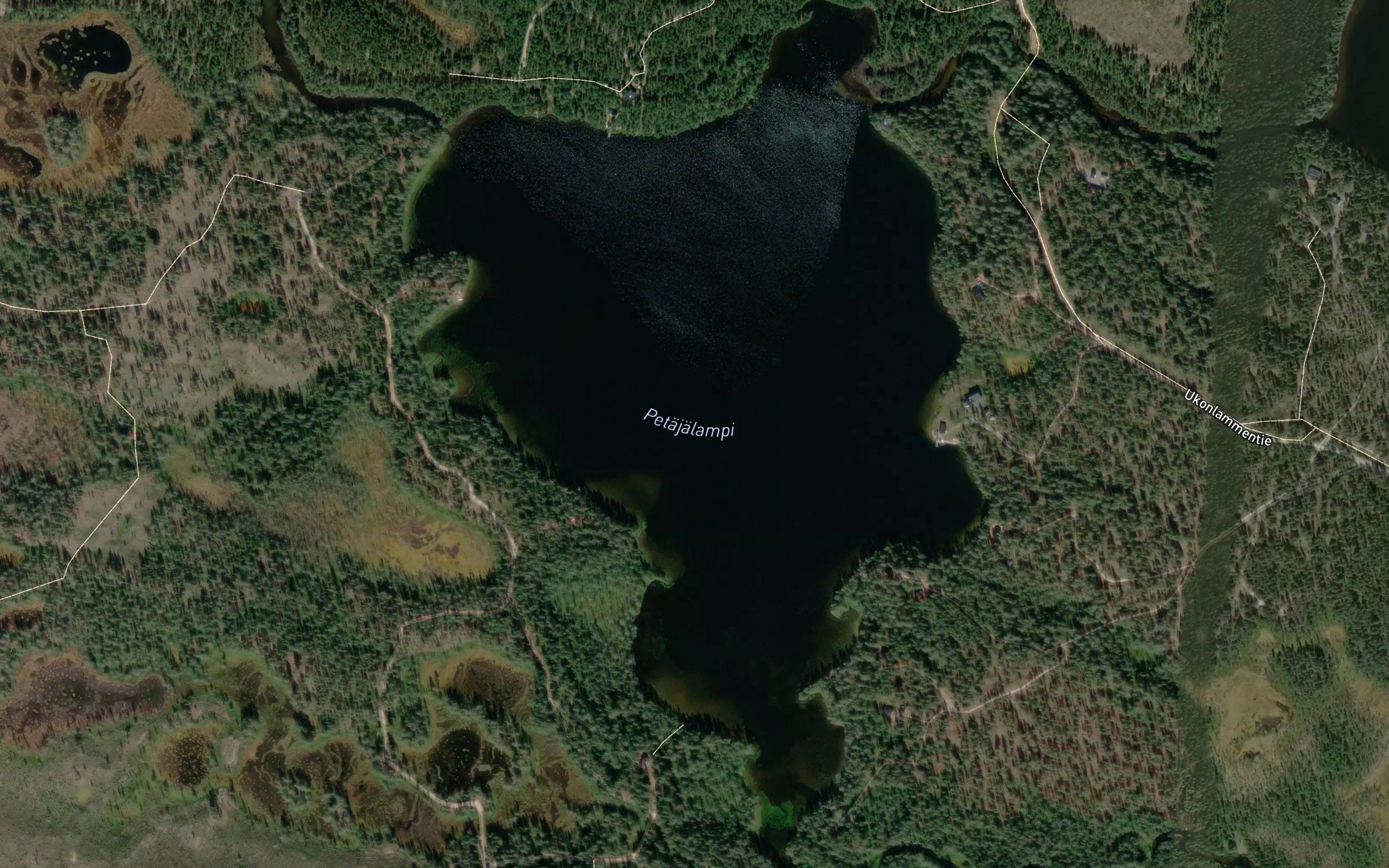 Petajalampi