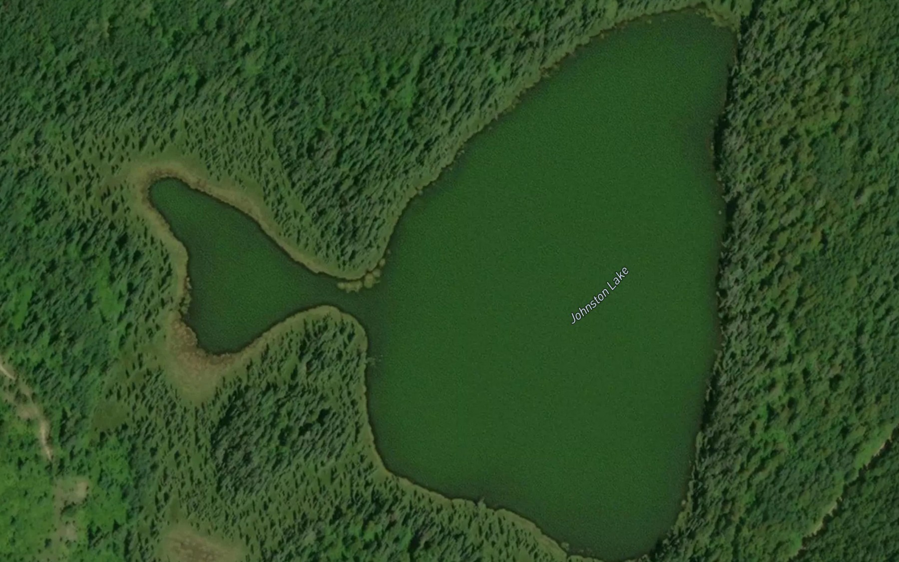 Satellite map of the Johnston Lake