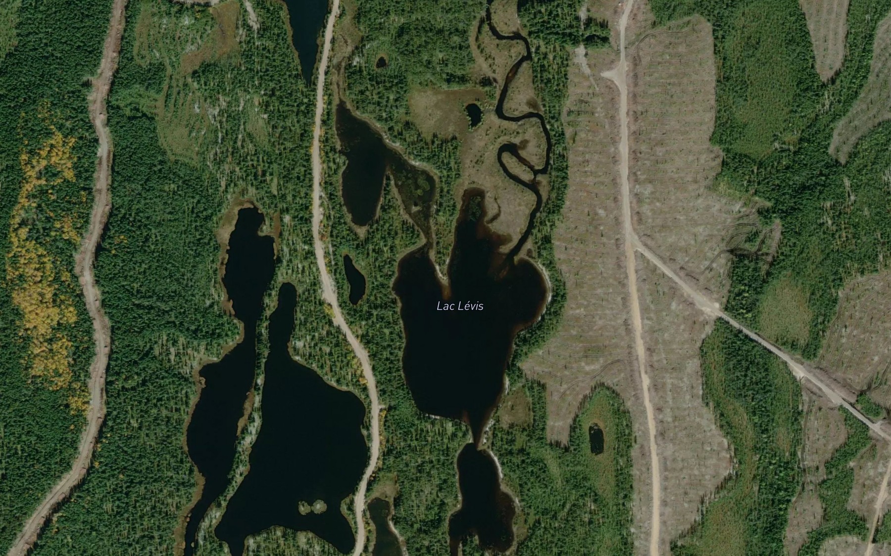 Satellite map of the Lac Levis