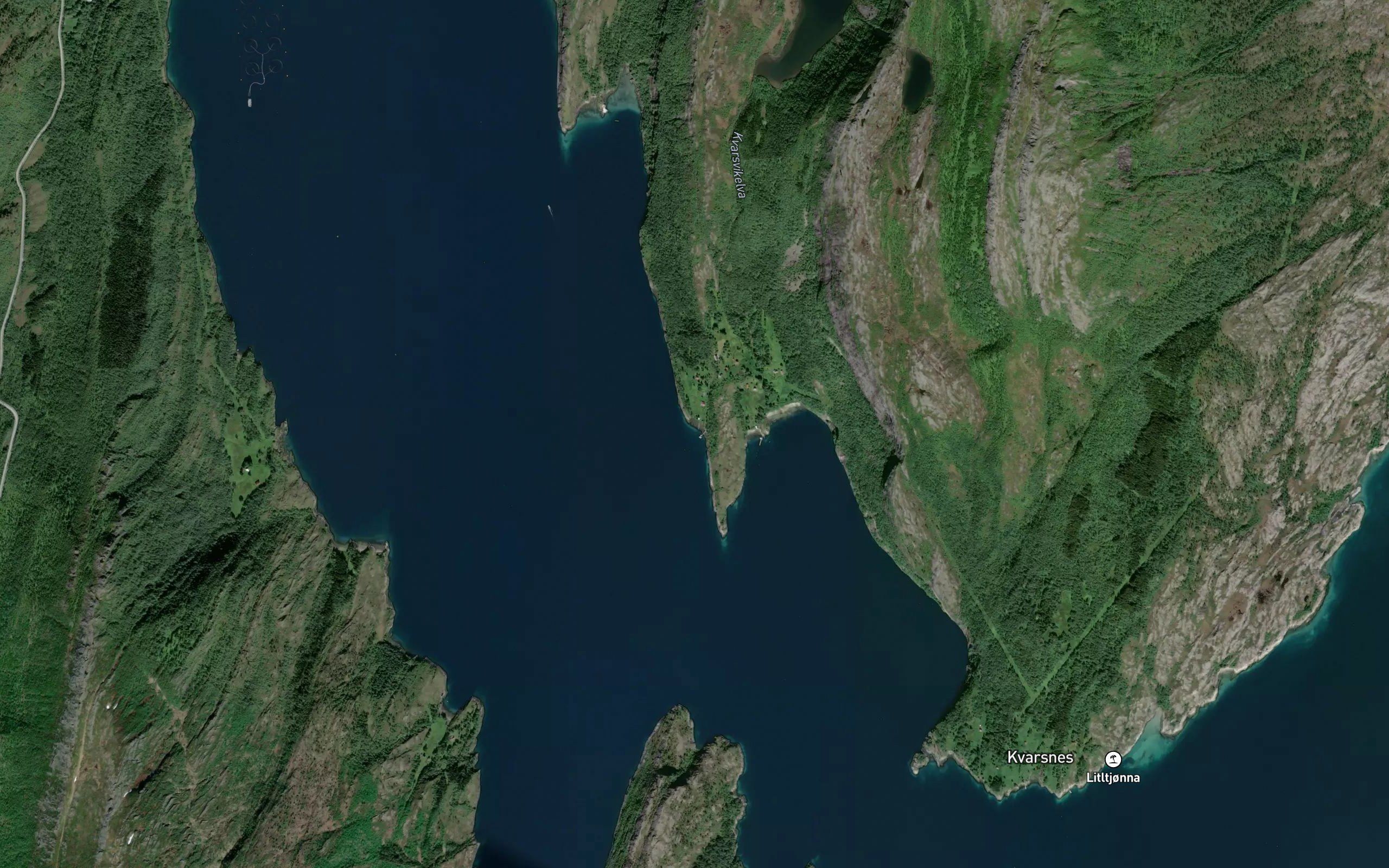 Buvika