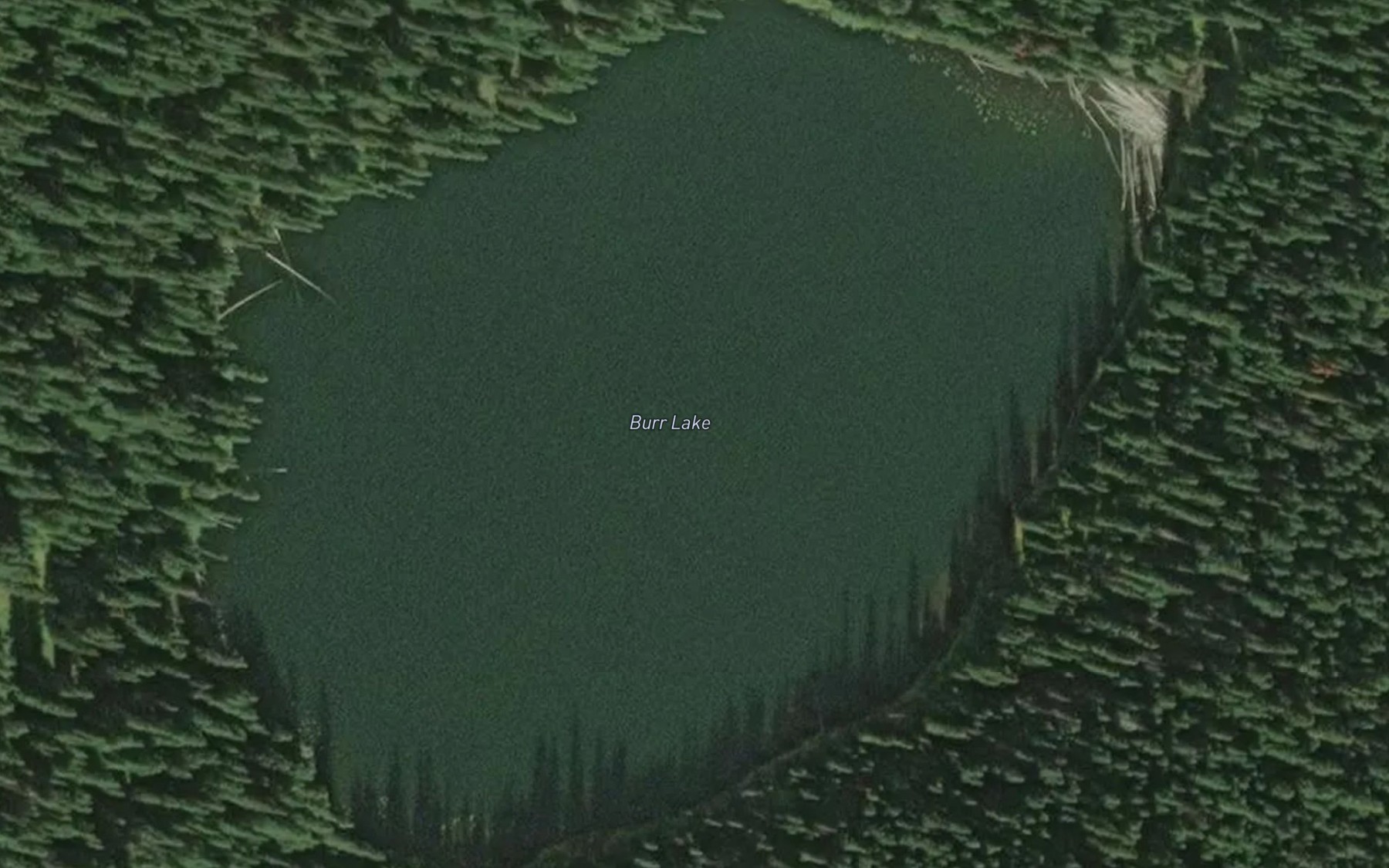 Satellite map of the Burr Lake