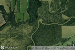 Little Cypress Creek