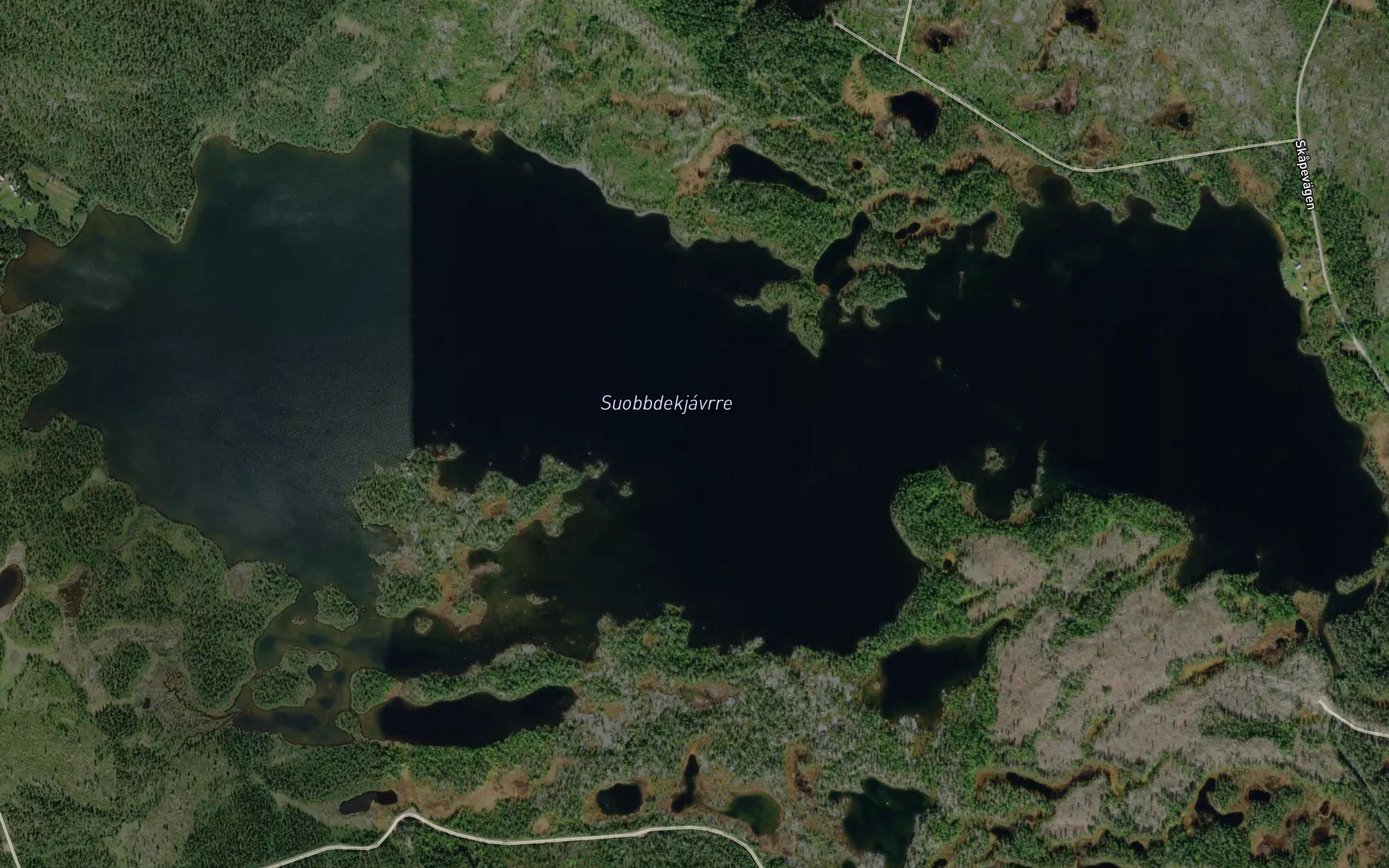 Suobdekjaure