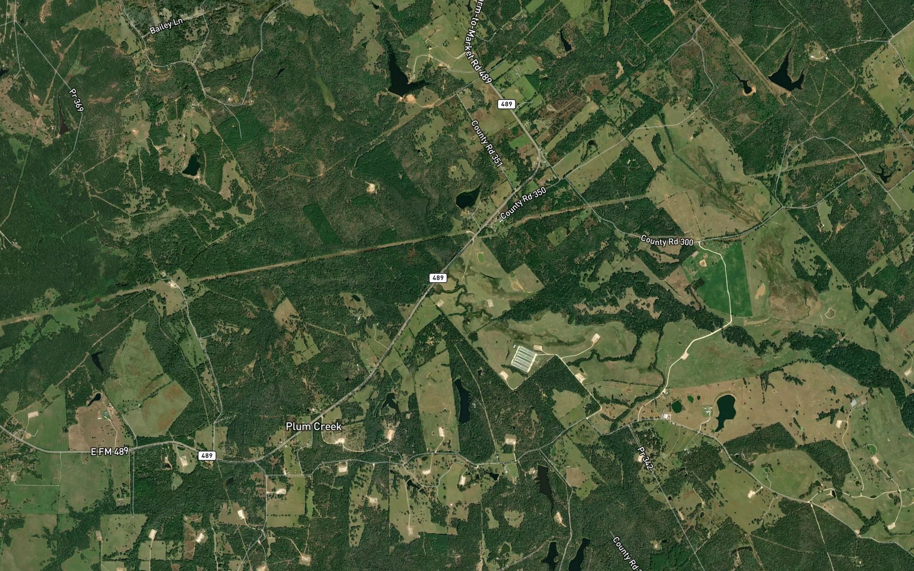 Satellite map of the Holly Branch