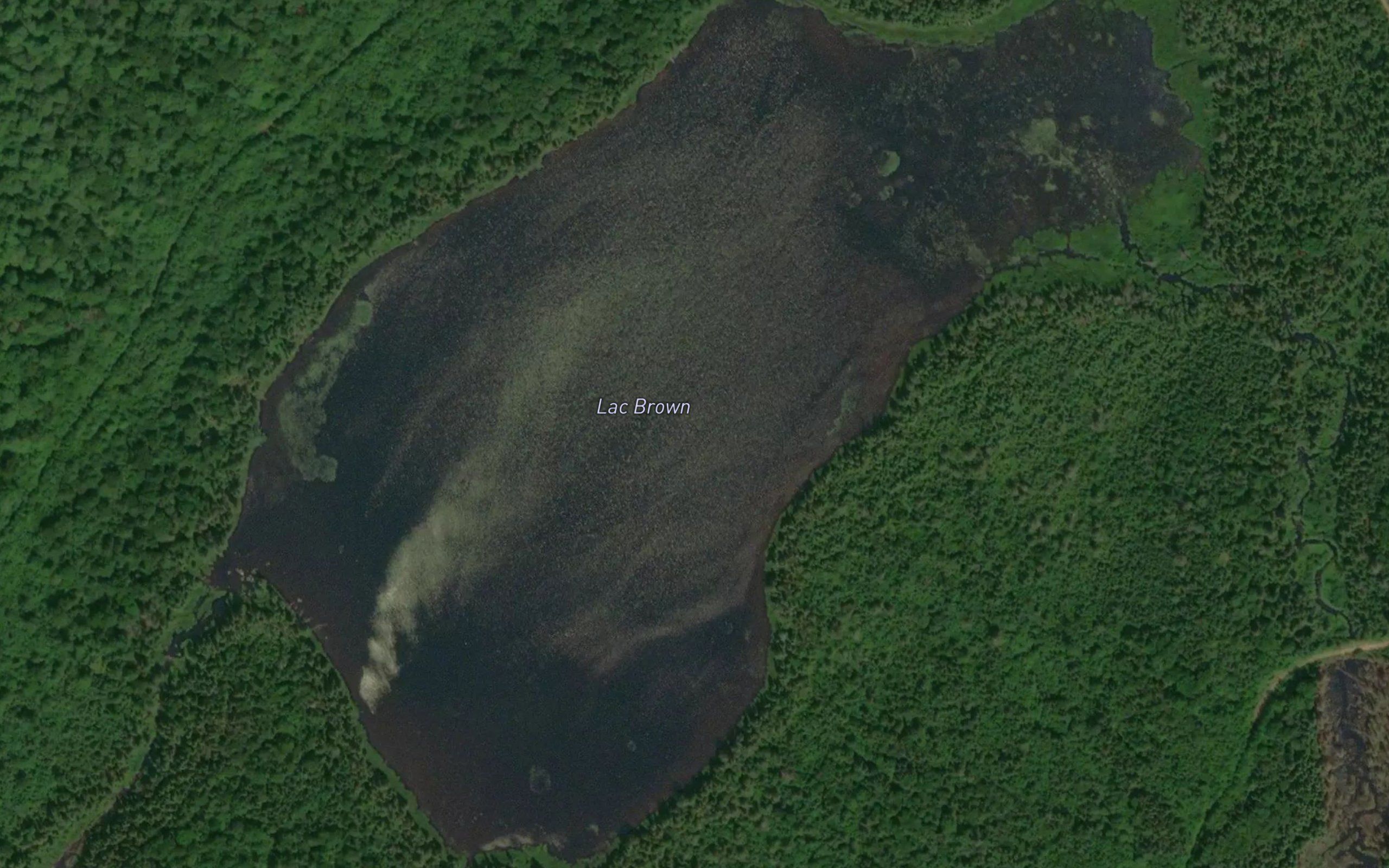 Lac Brown