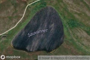 Sauvatnet