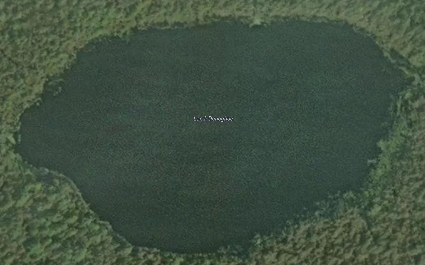 Satellite map of the Lac a Donoghue