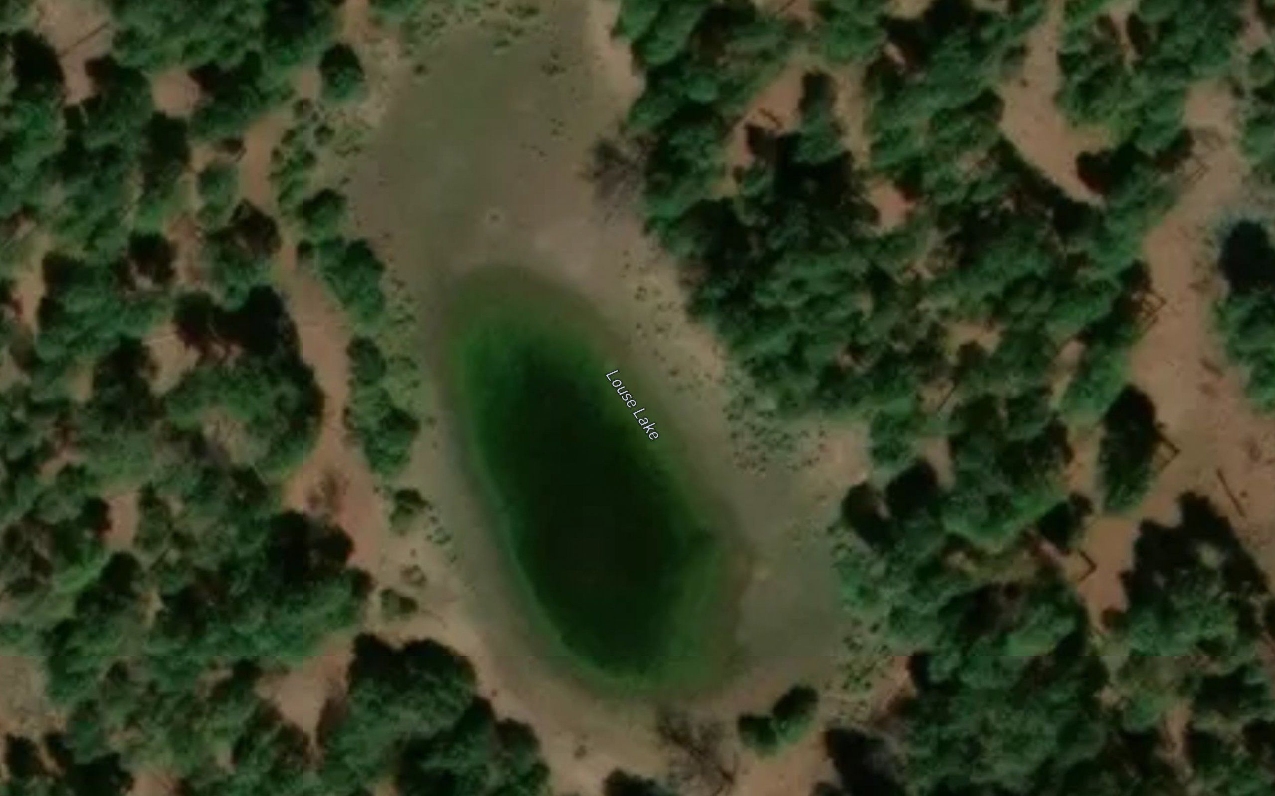 Louse Lake
