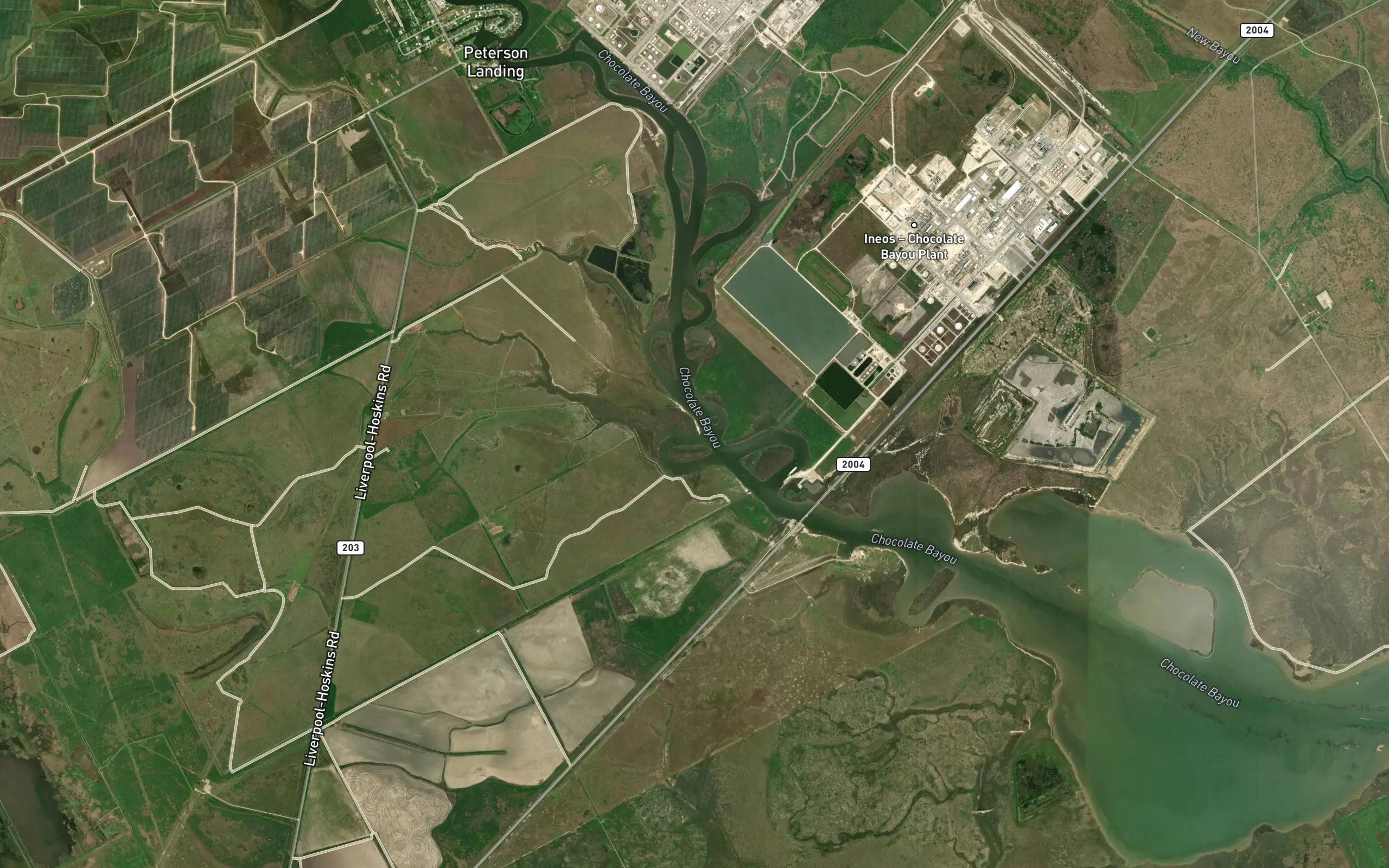 Salt Bayou