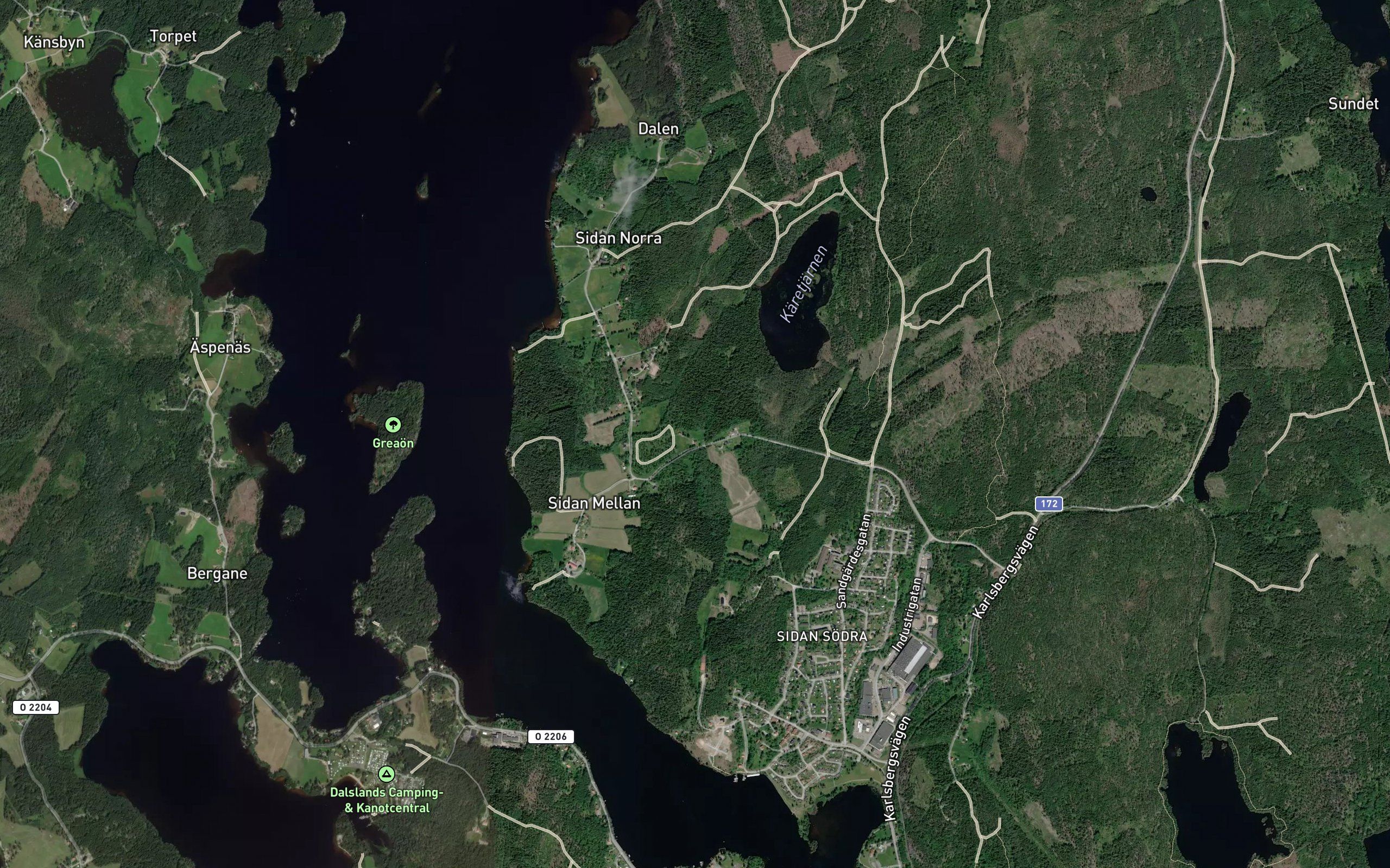 Karetjarn
