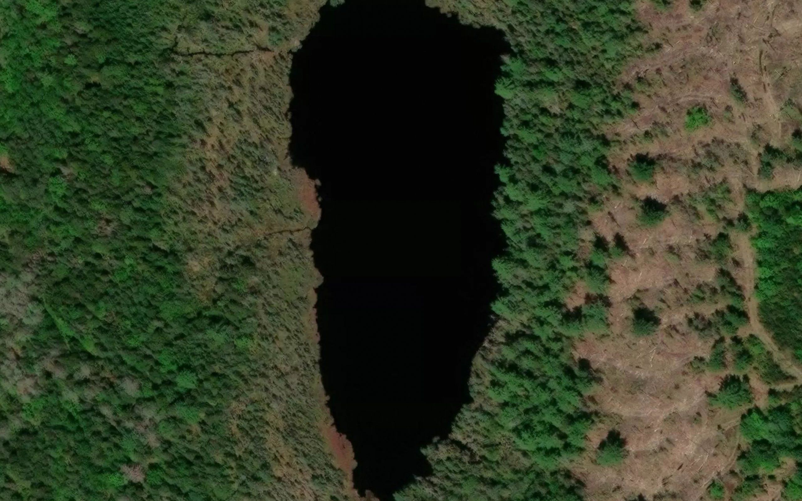 Unknown Pond
