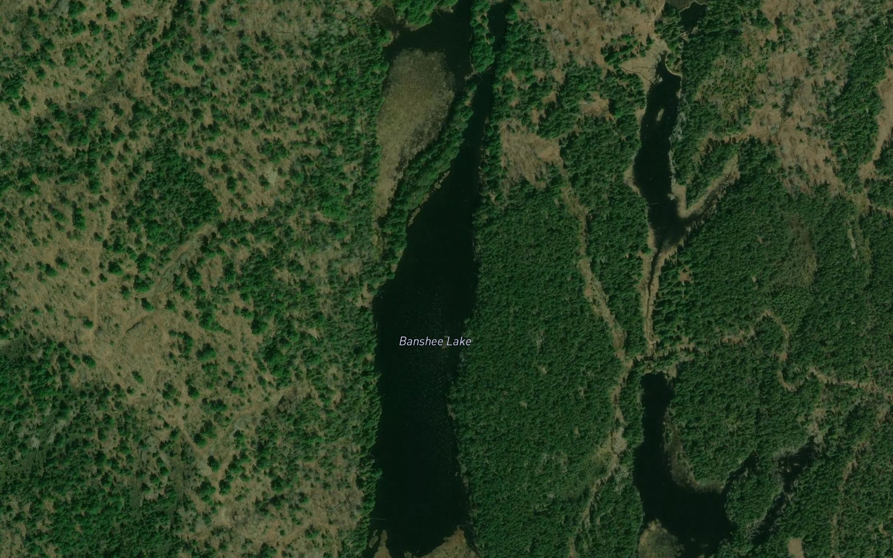 Satellite map of the Banshee Lake