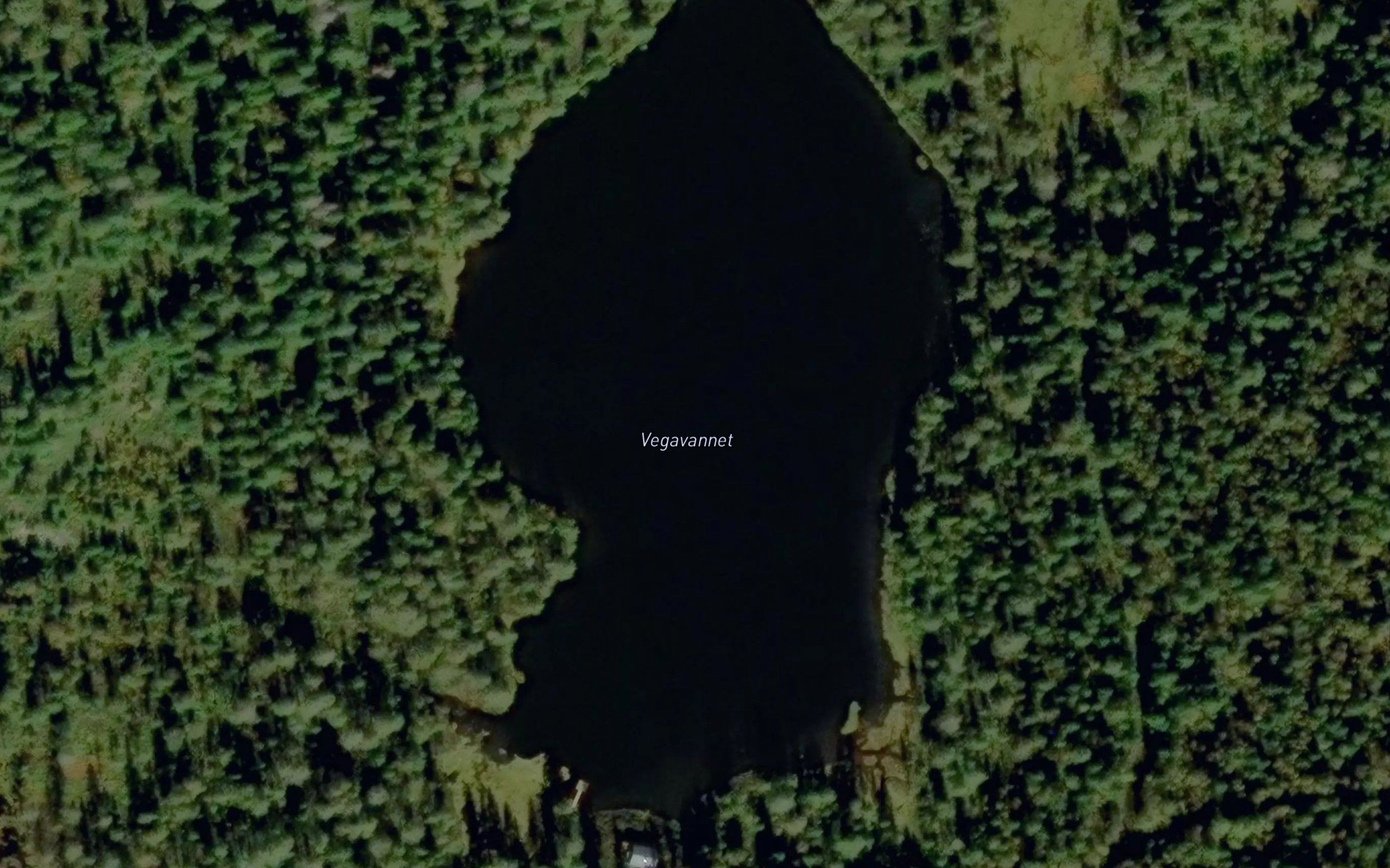 Vegavannet