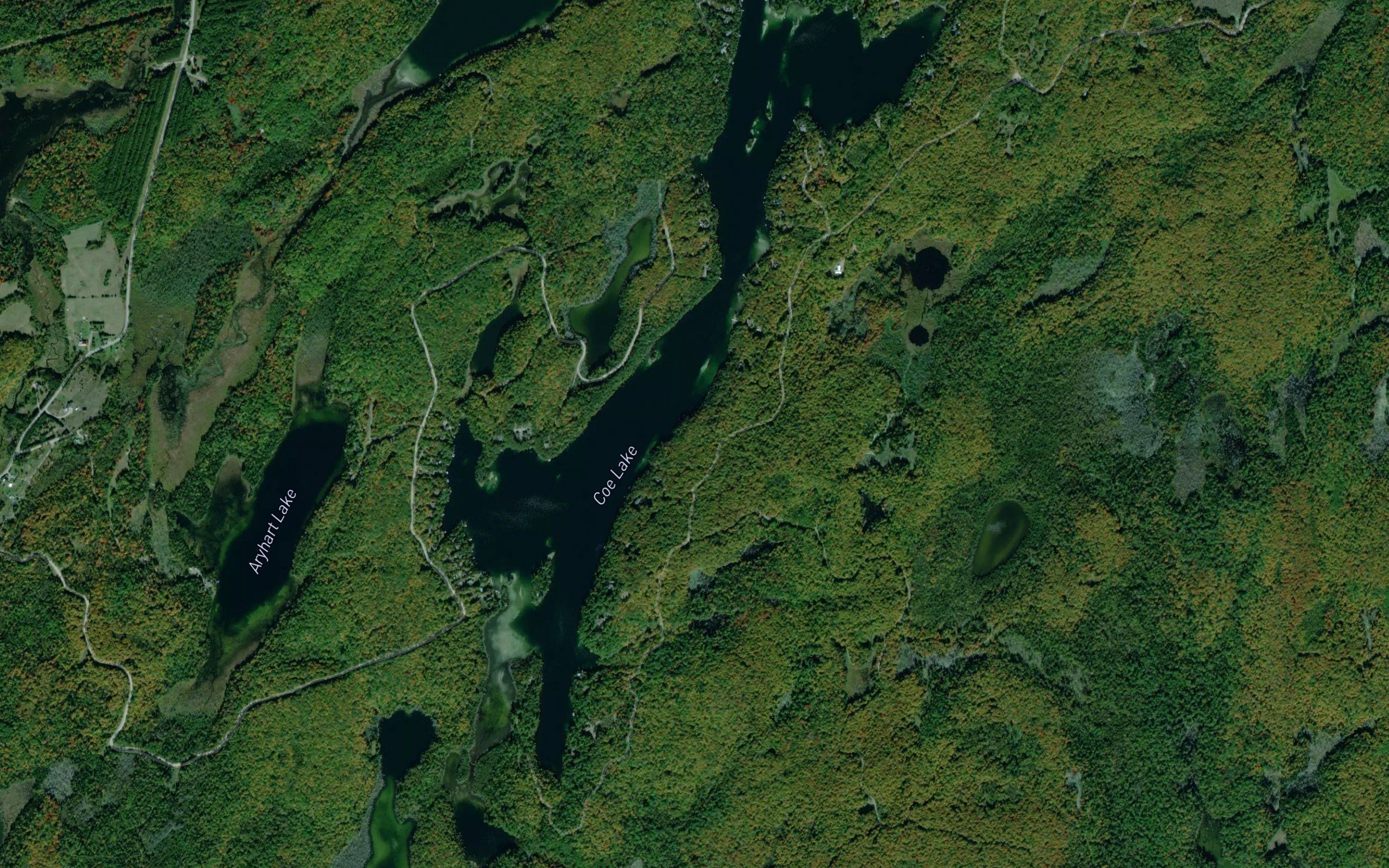 Coe (Island) Lake