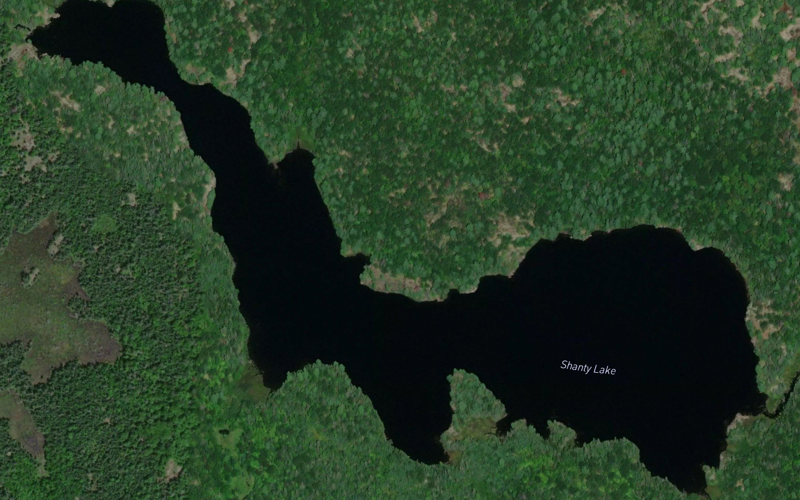 Shanty Lake