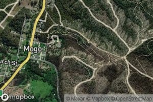 Old Mogo Creek