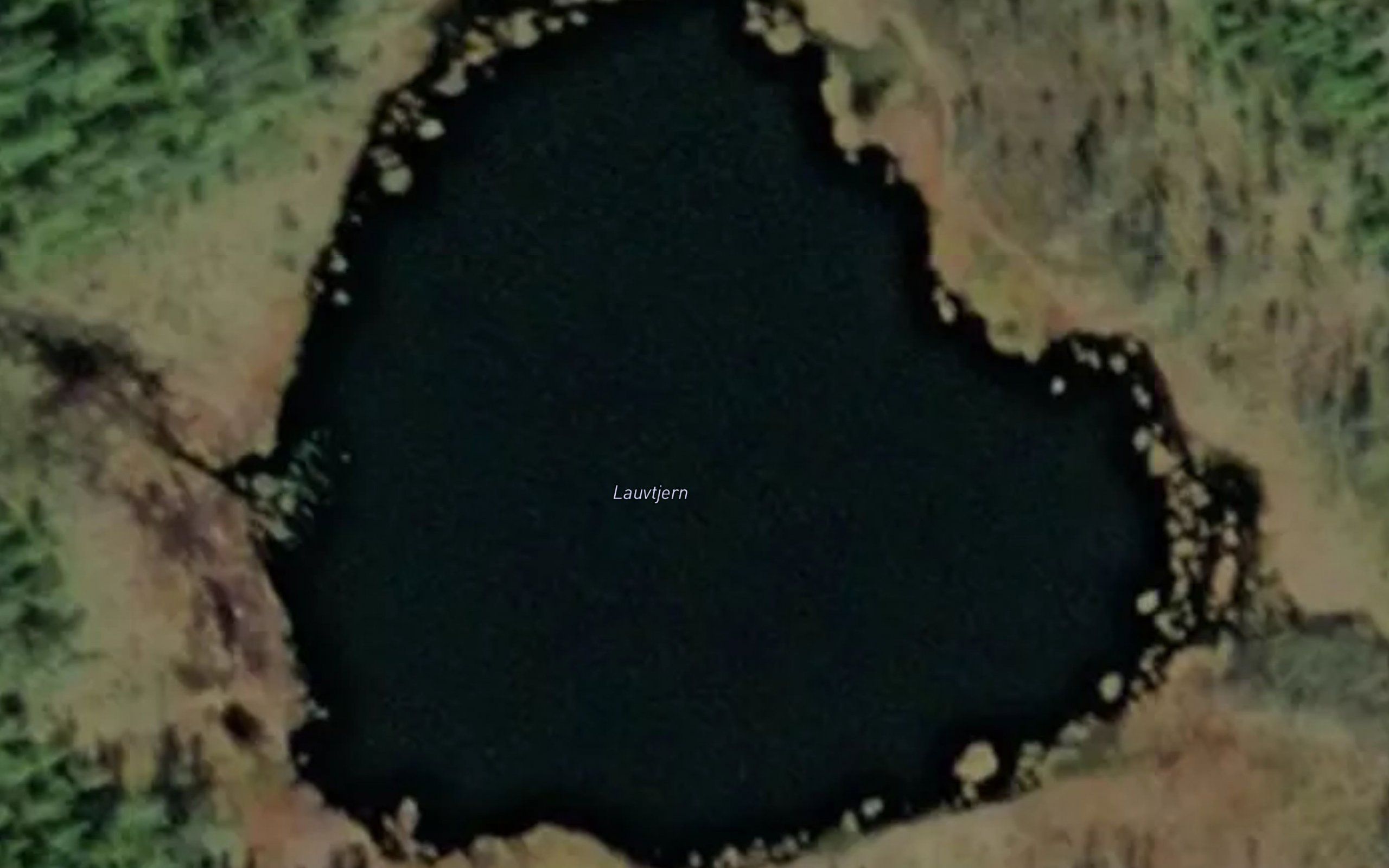 Lauvtjern