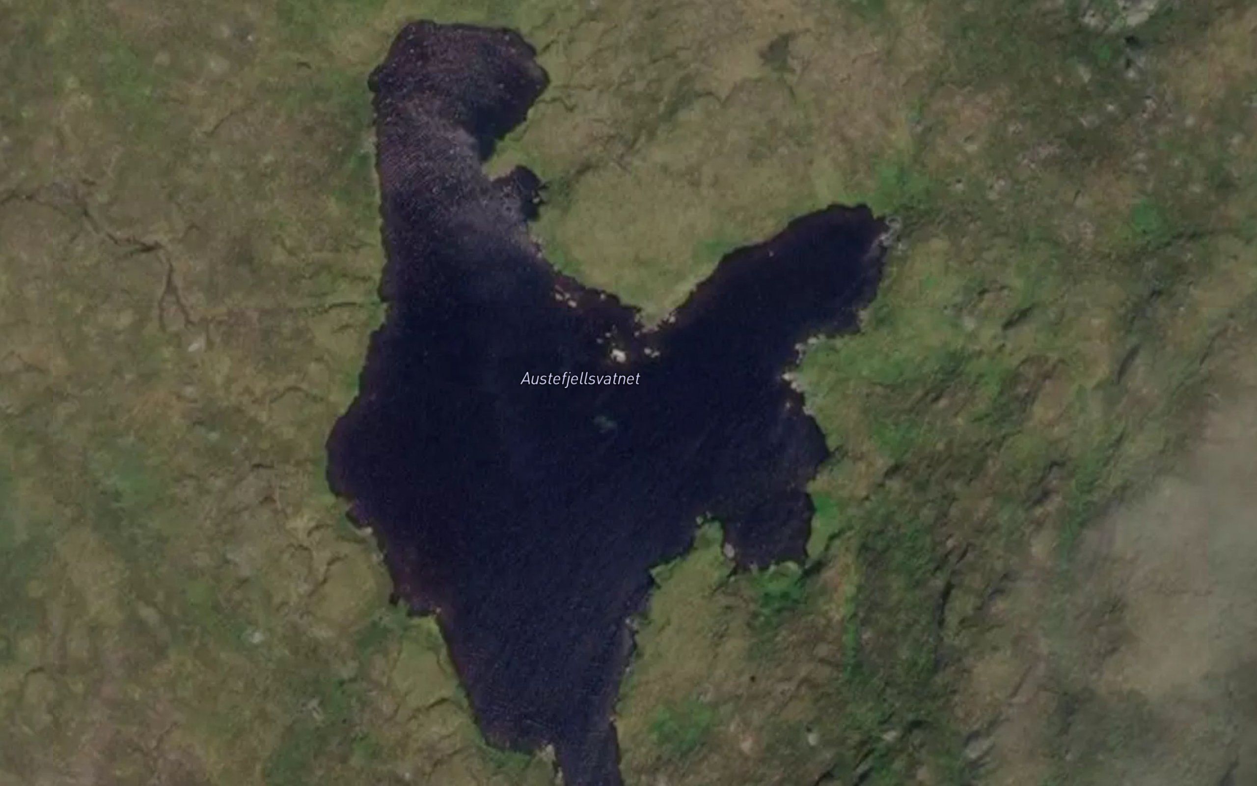 Austefjellsvatnet