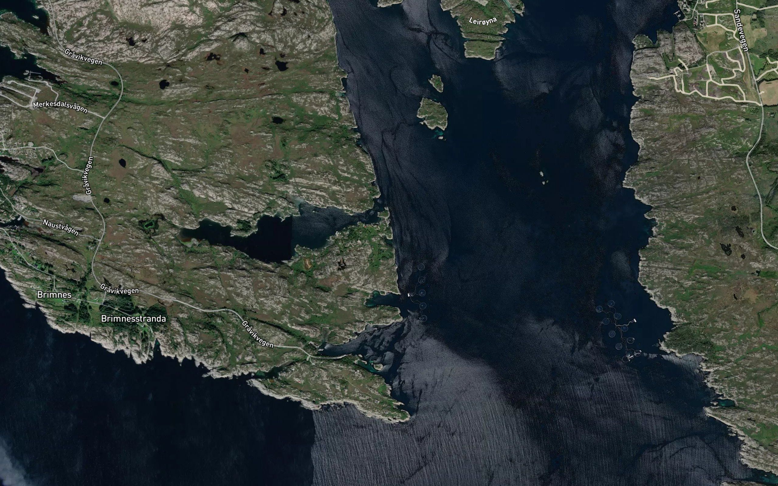 Florvika