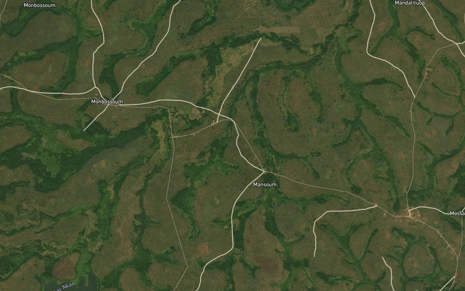 Satellite map of the Monfokou