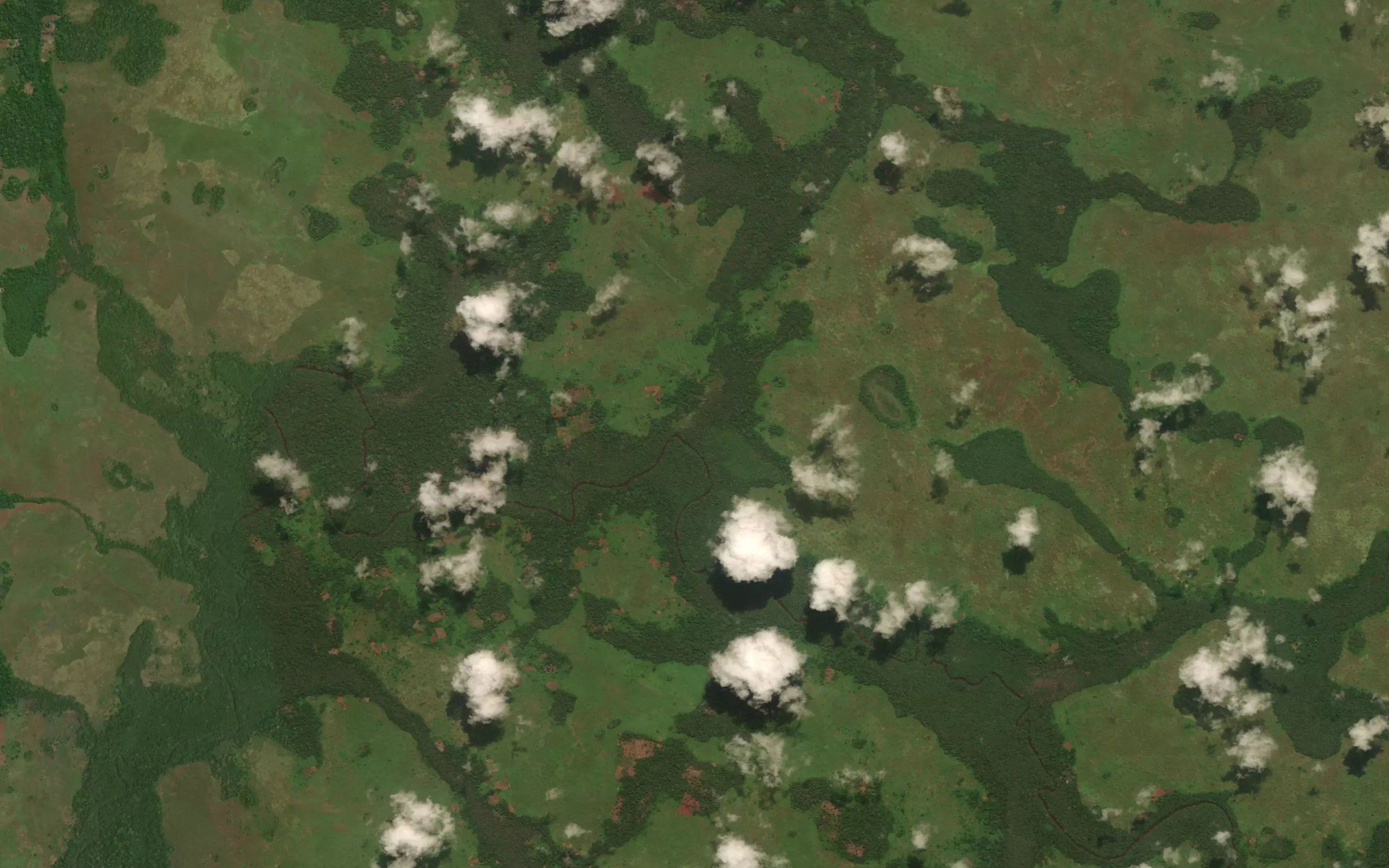 Kubulu