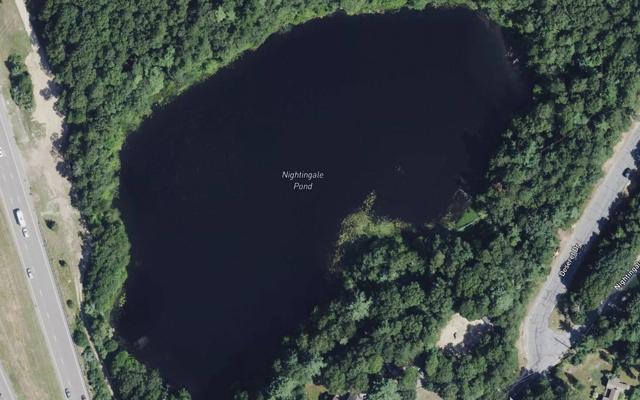 Nightingale Pond