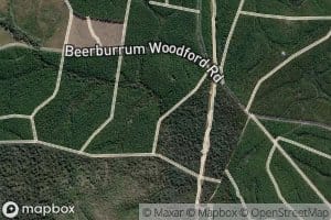 Beerburrum Creek