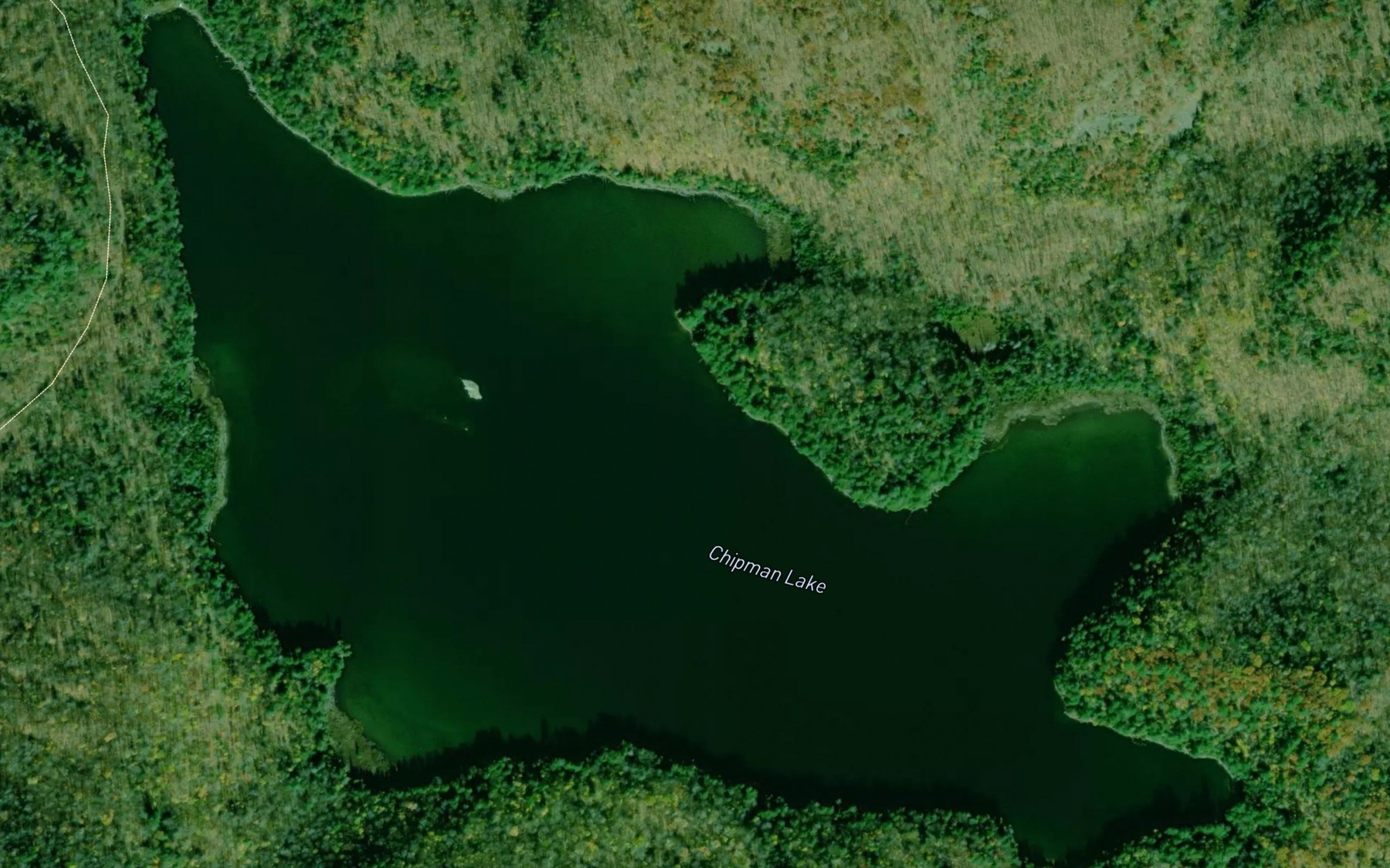 Satellite map of the Chipman Lake