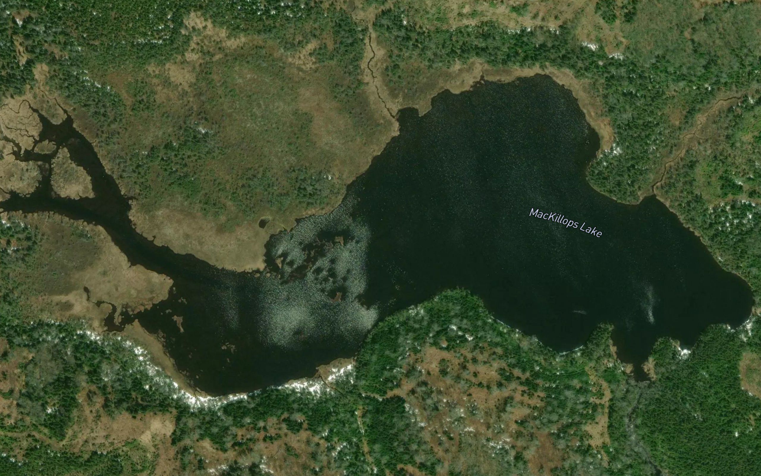 MacKillops Lake