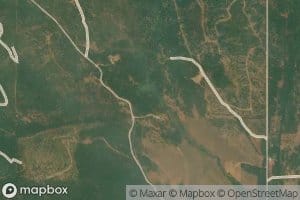 West Fork Timber Creek