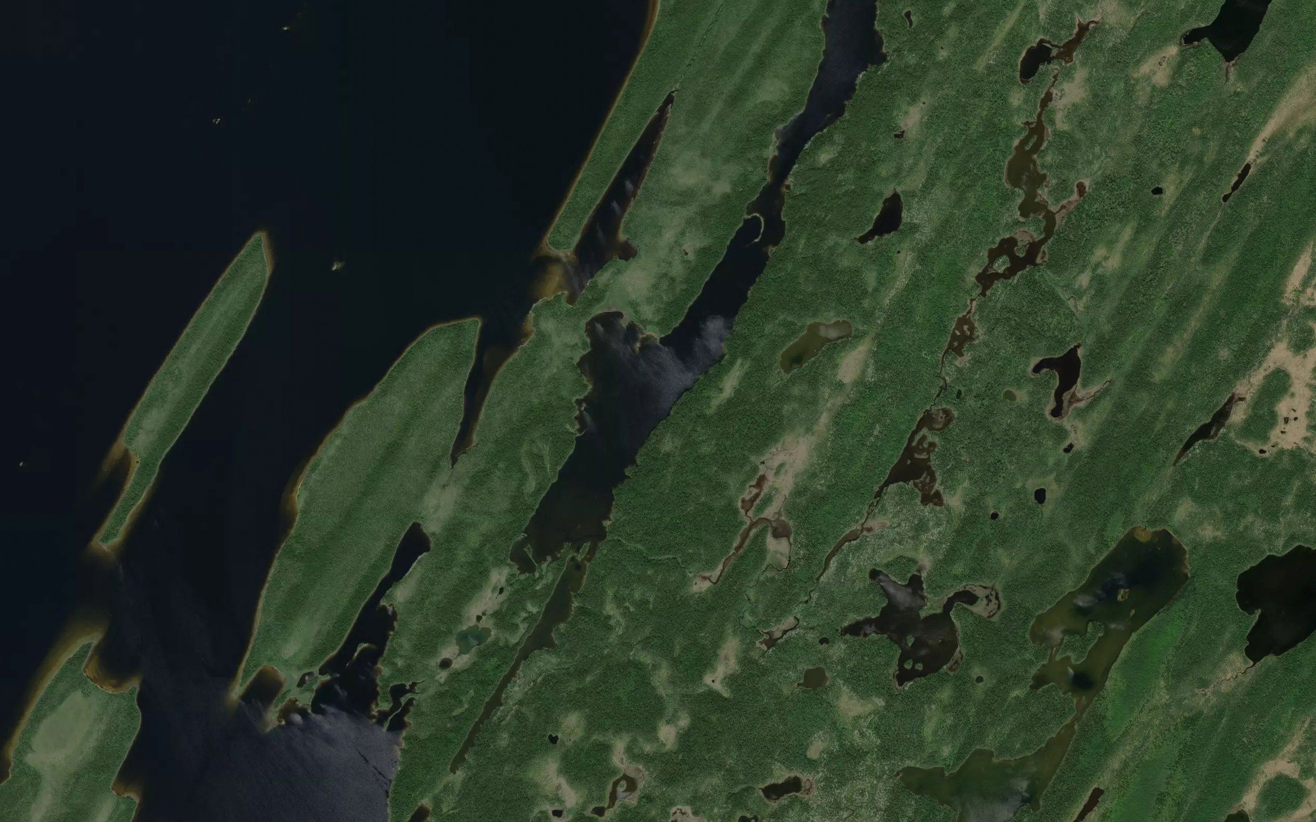 Baie Lamarck