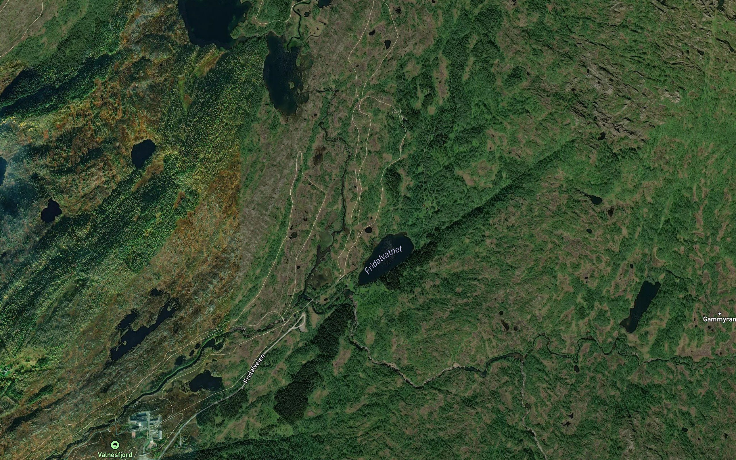 Saugjerdtjonna