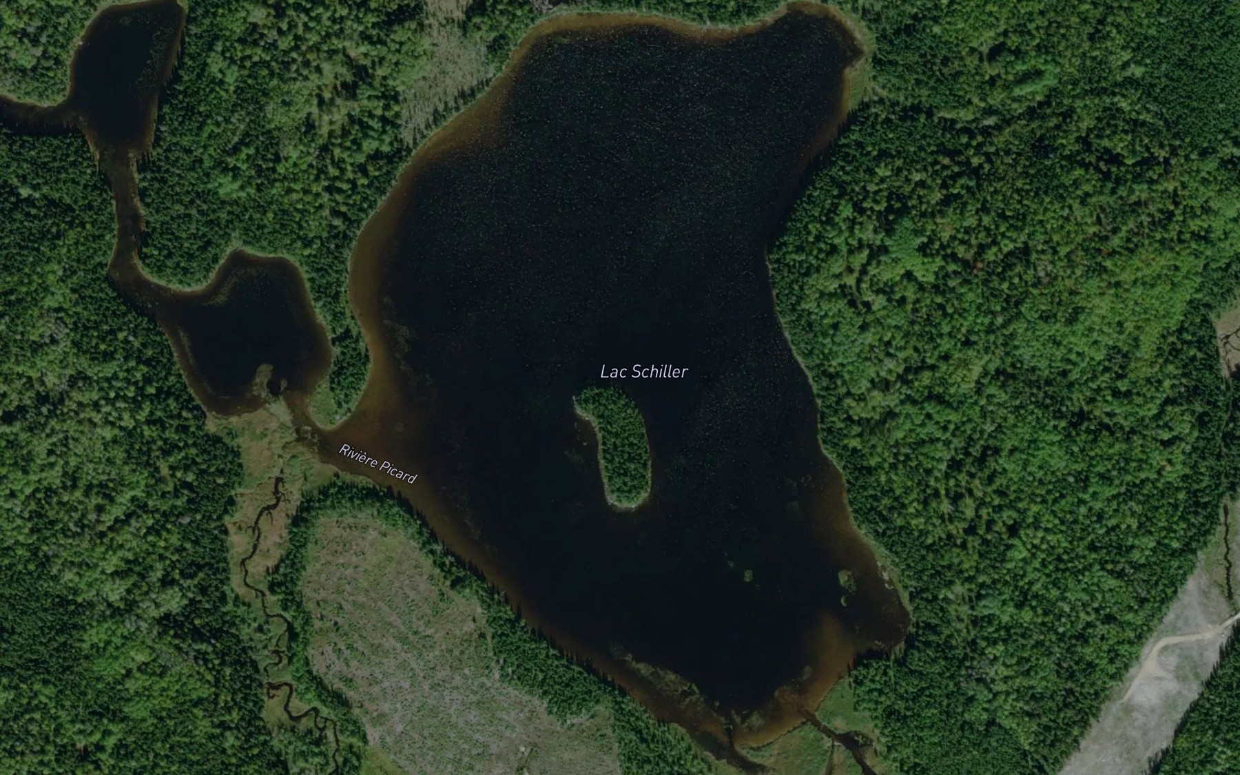 Satellite map of the Lac Schiller