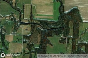 Elk Branch