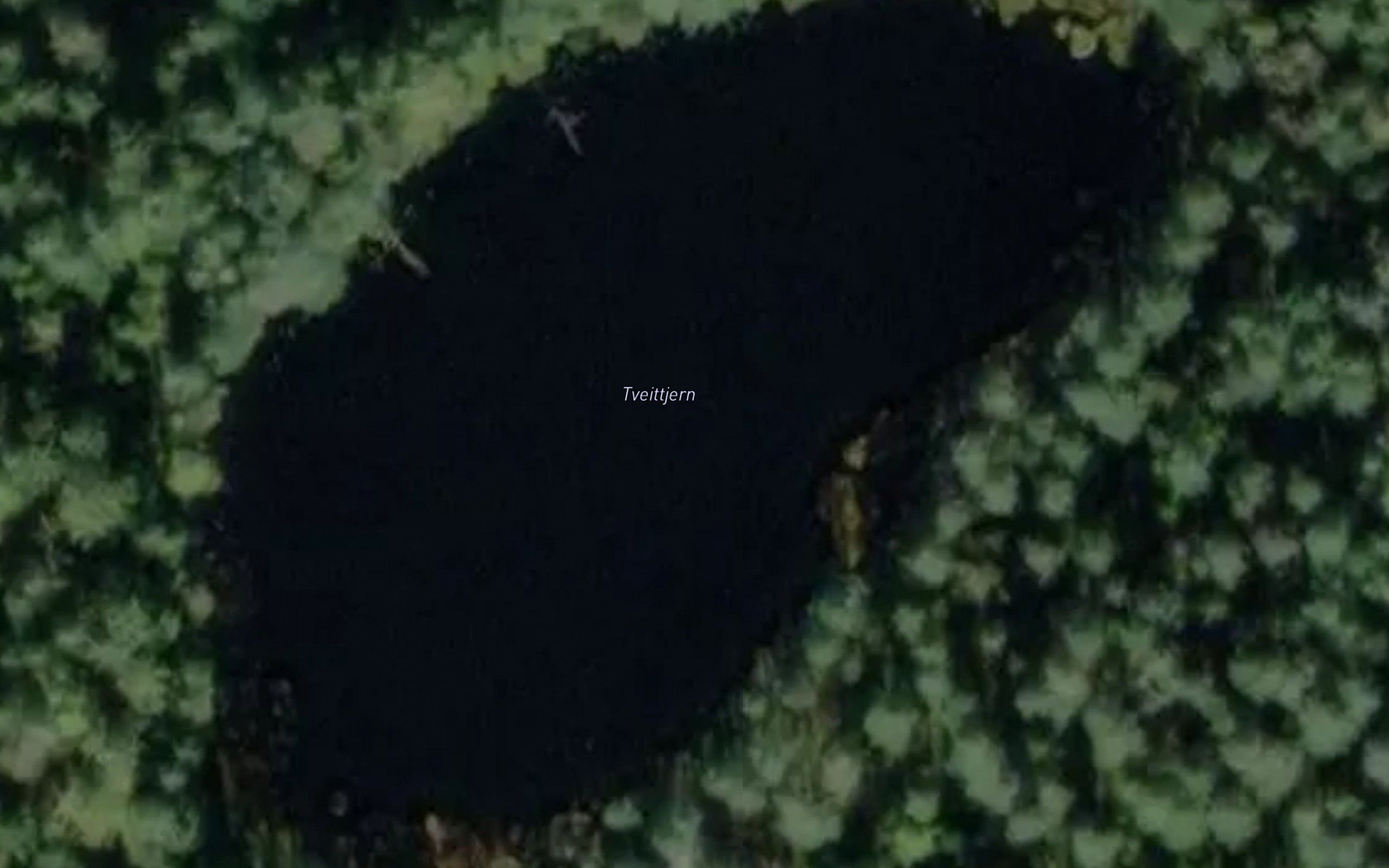 Tveittjern