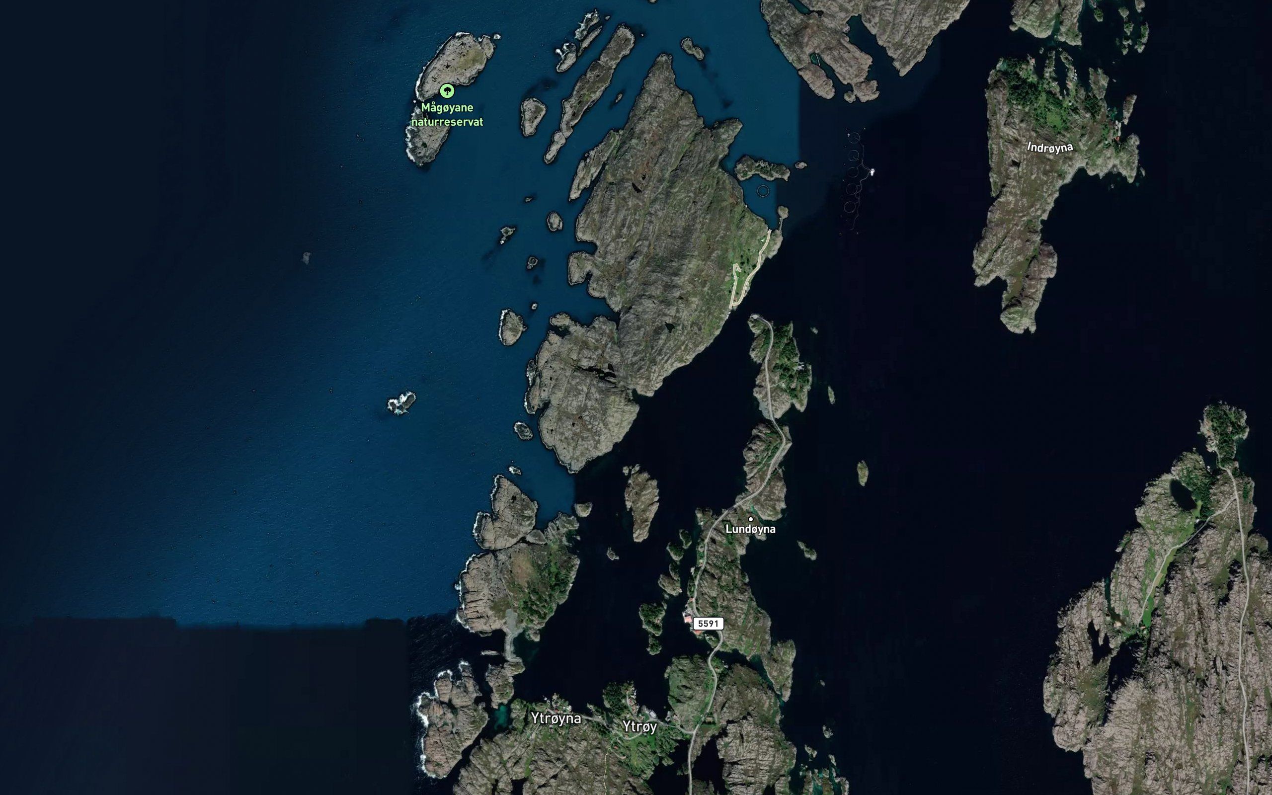 Rekevika