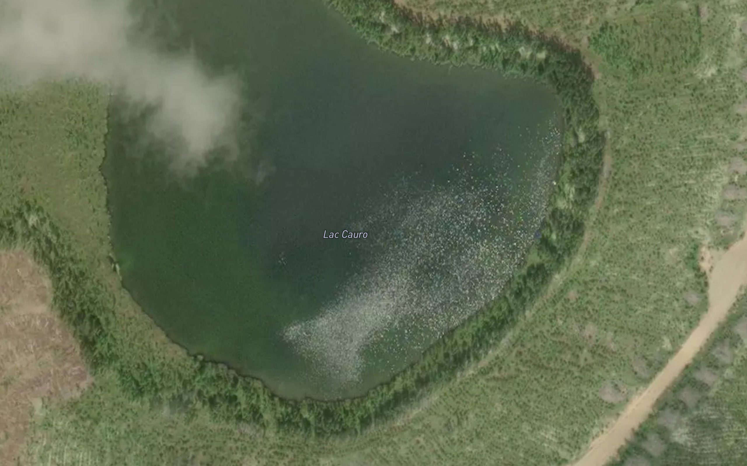 Lac Cauro