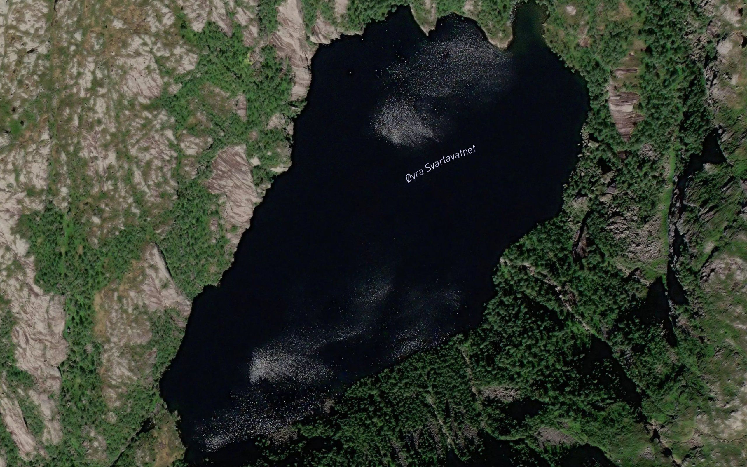 Svartavatnet,ovre