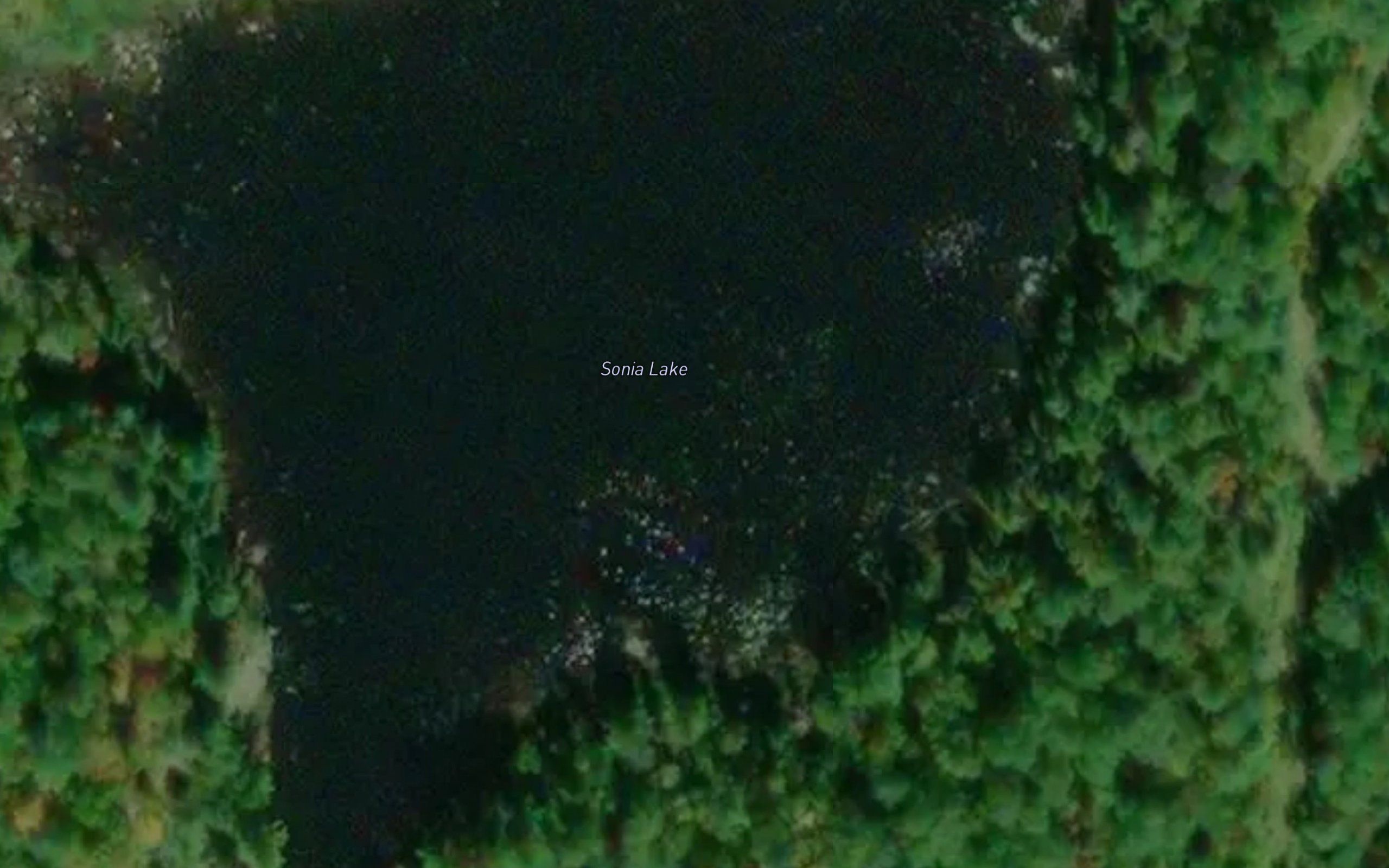 Sonia Lake