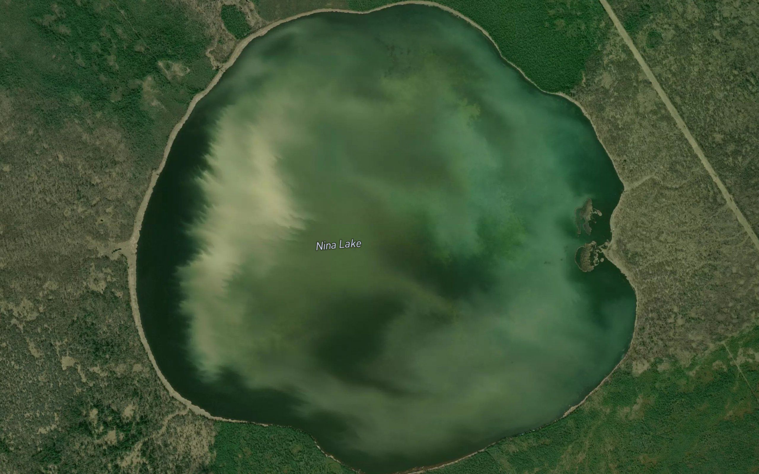 NinaLake
