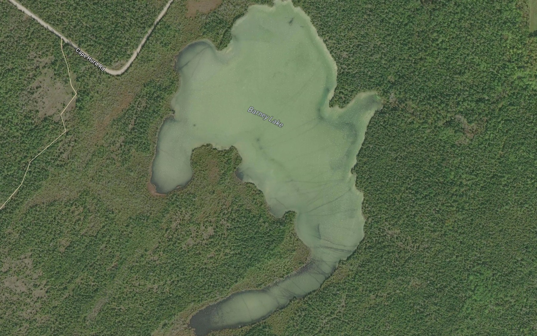 Satellite map of the Barney Lake