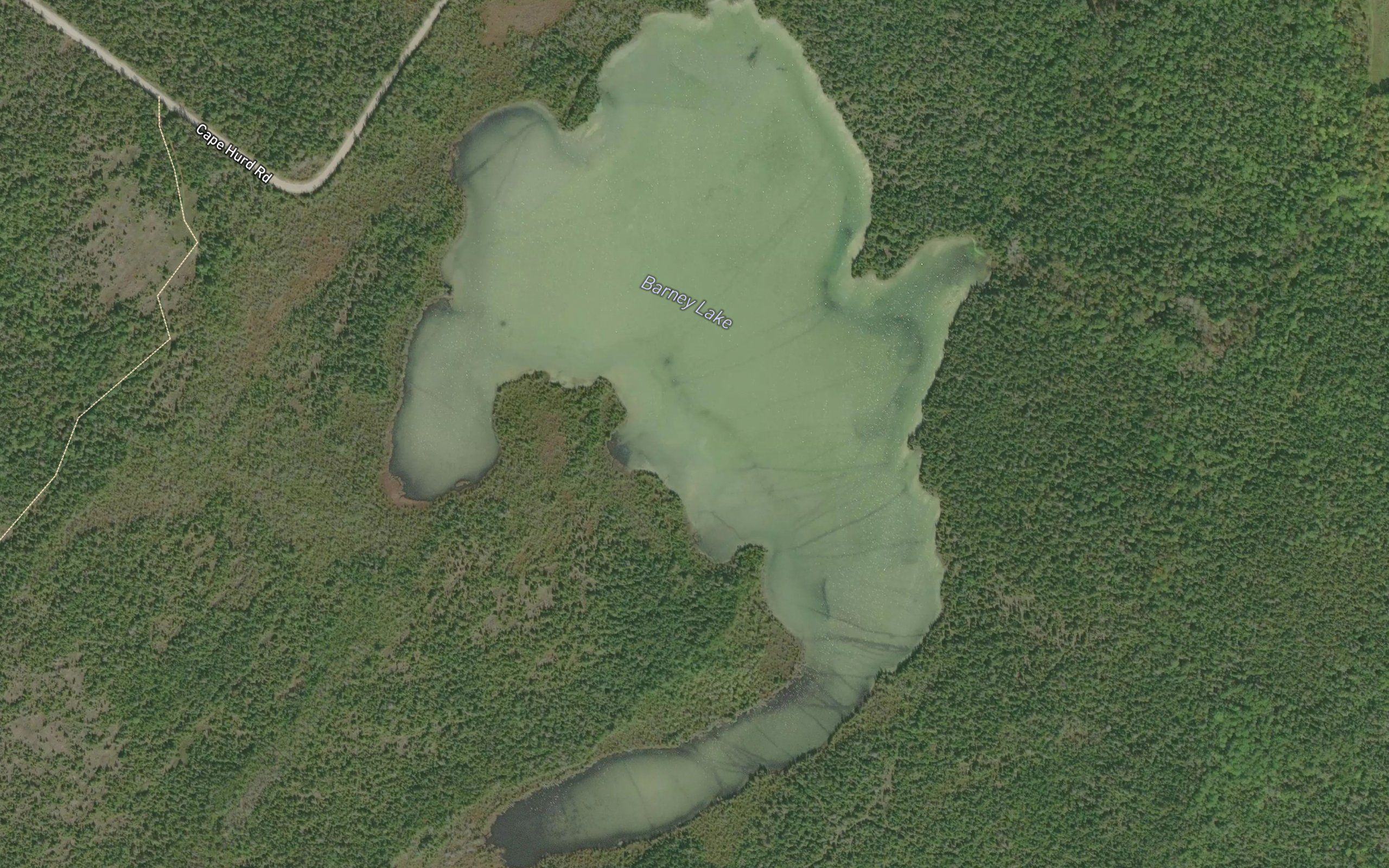 Barney Lake