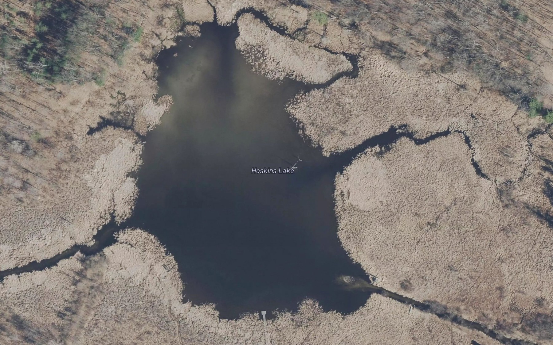 Satellite map of the Hoskins Lake
