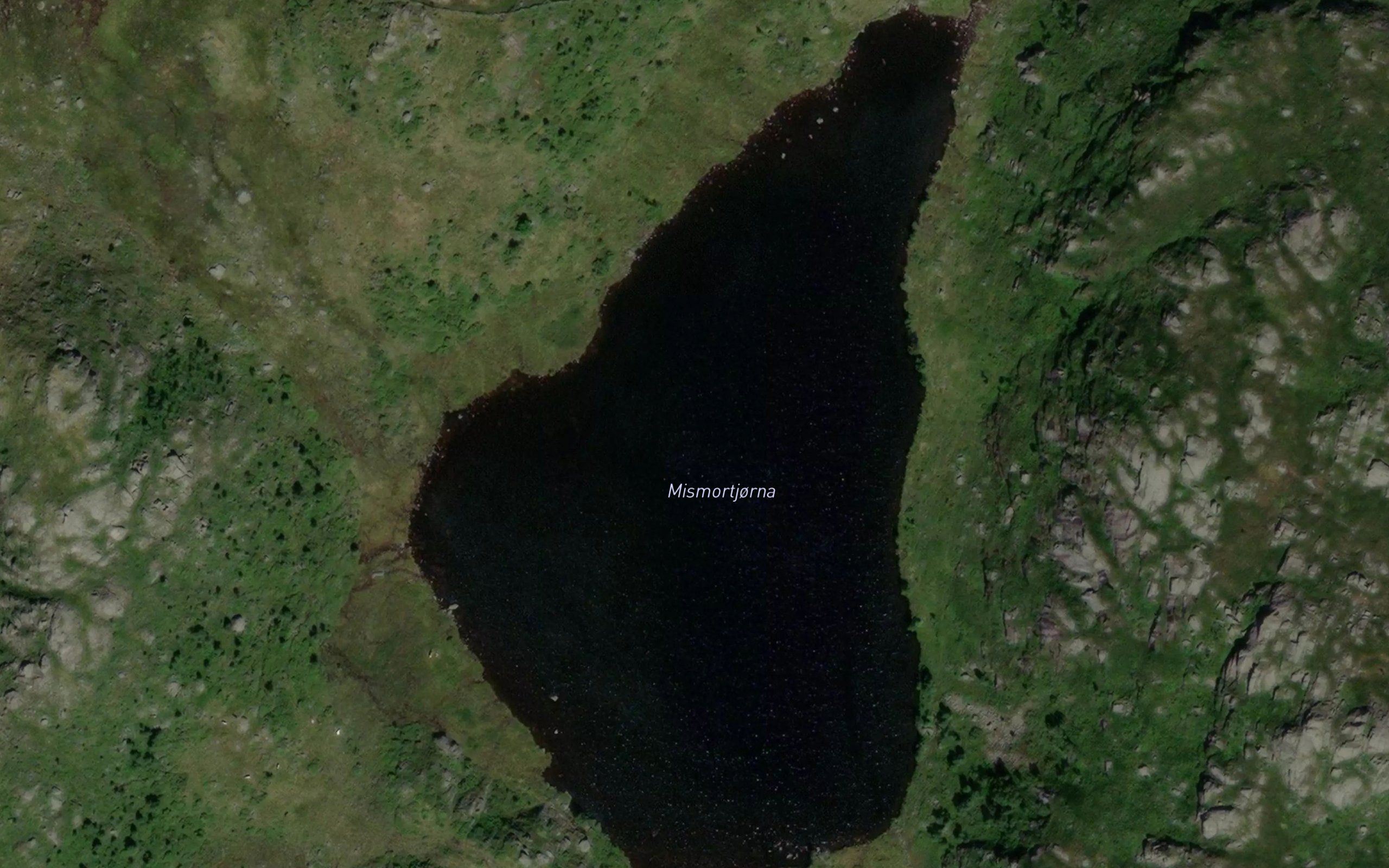 Mismortjorna